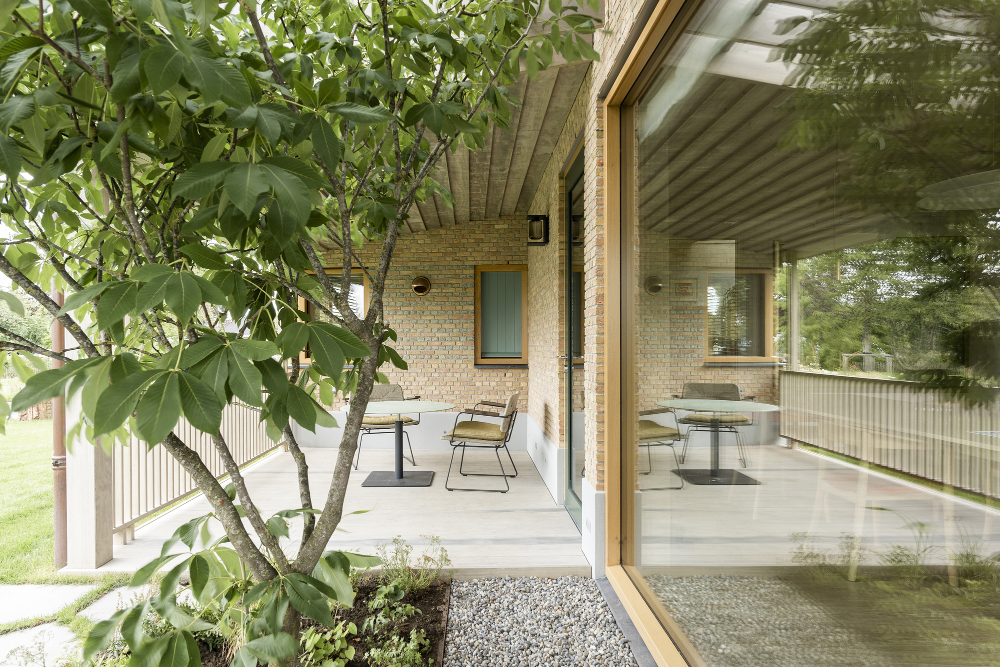 Covered terrace with exposed timber ceiling beams and planted tree beside outdoor seating area