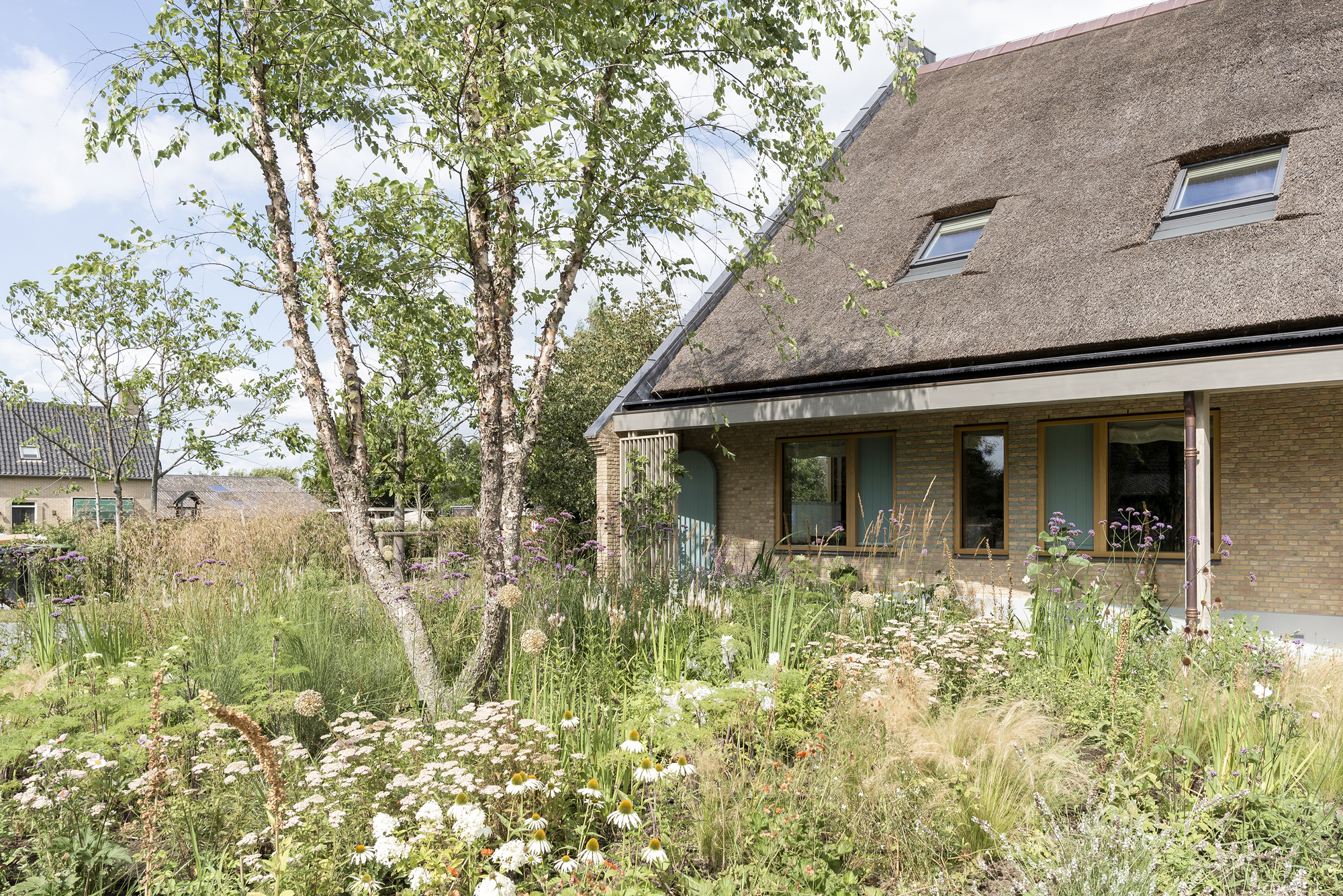 Thatched roof dwelling with yellow brick walls beyond a wildflower meadow and birch trees