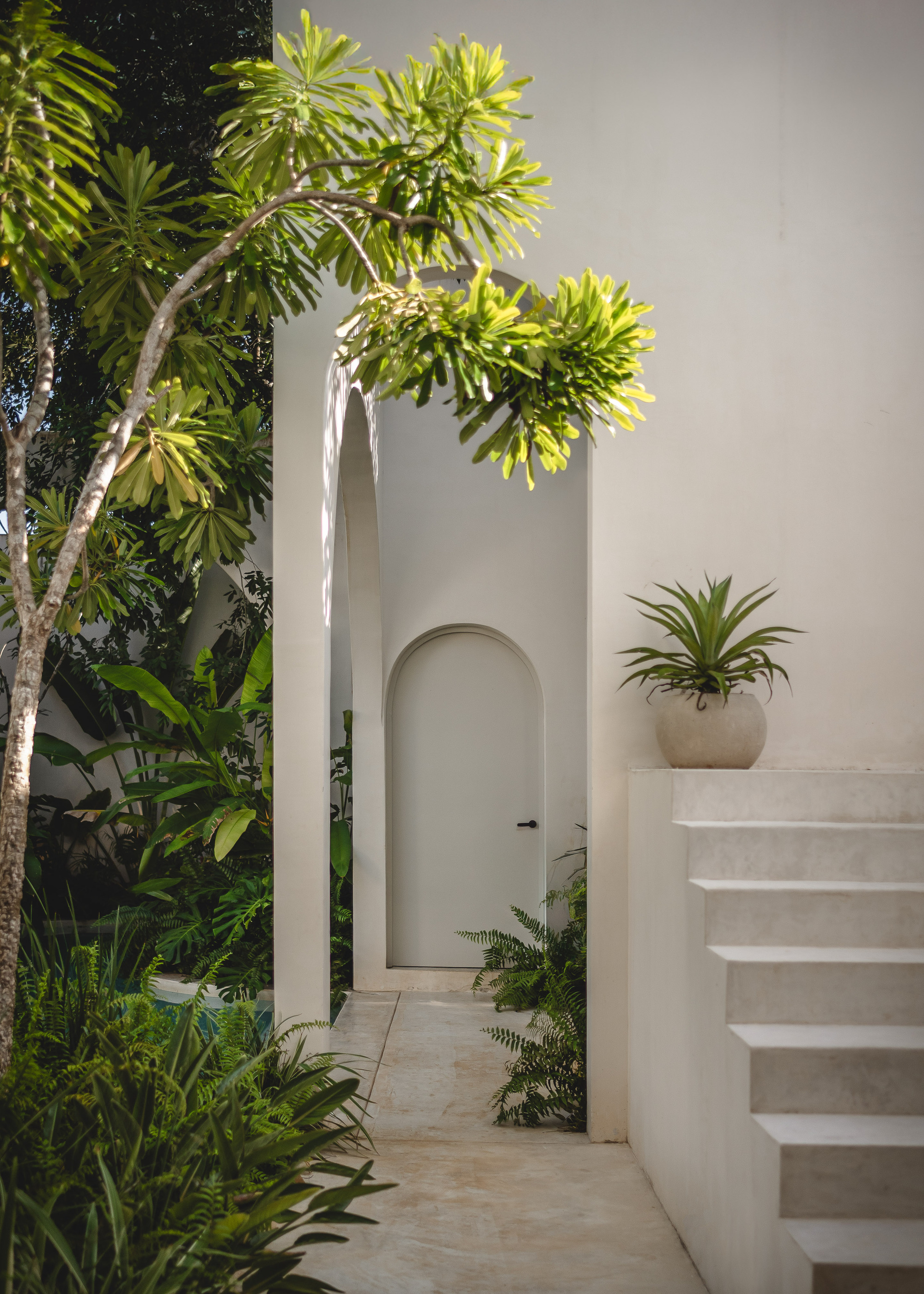 White exterior staircase beside an arched doorway with a potted bromeliad and overhanging tree branches