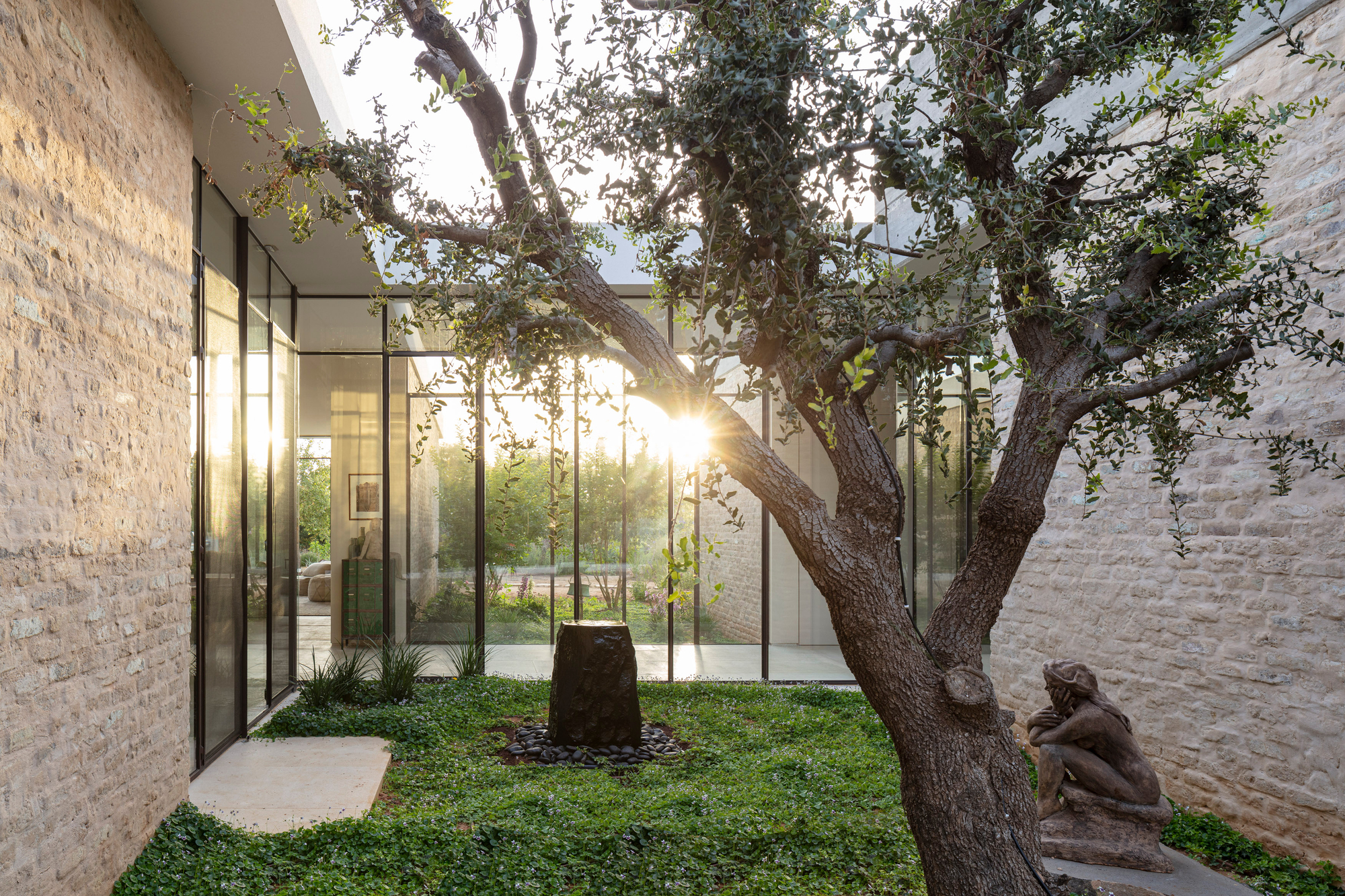 Internal courtyard with preserved tree and glass walls at dusk with sunlight filtering through branches