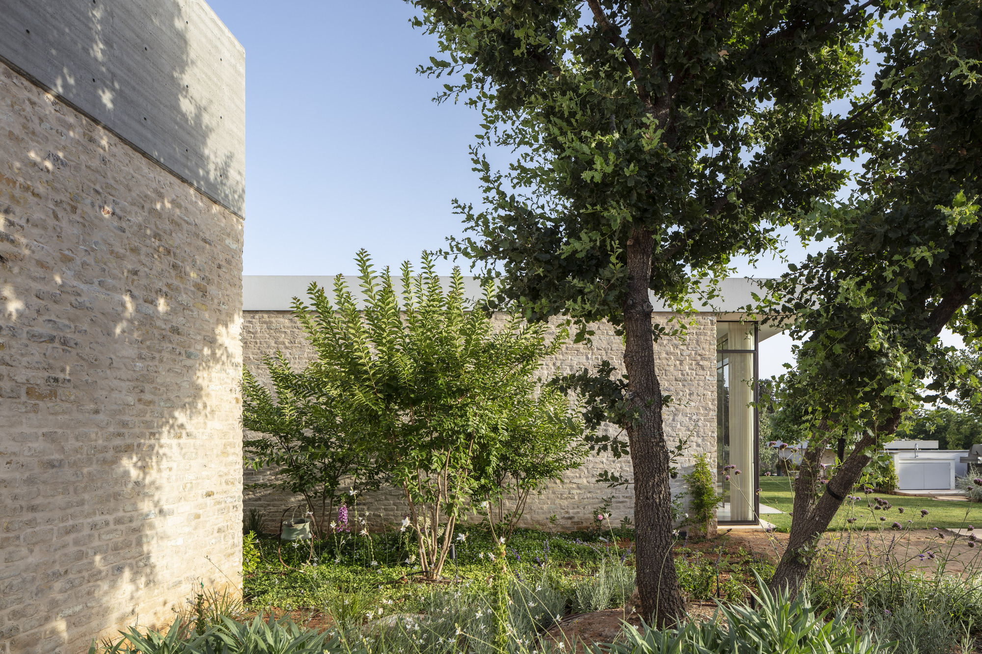 Board-formed concrete walls enclosing a planted courtyard with mature tree and native shrubs