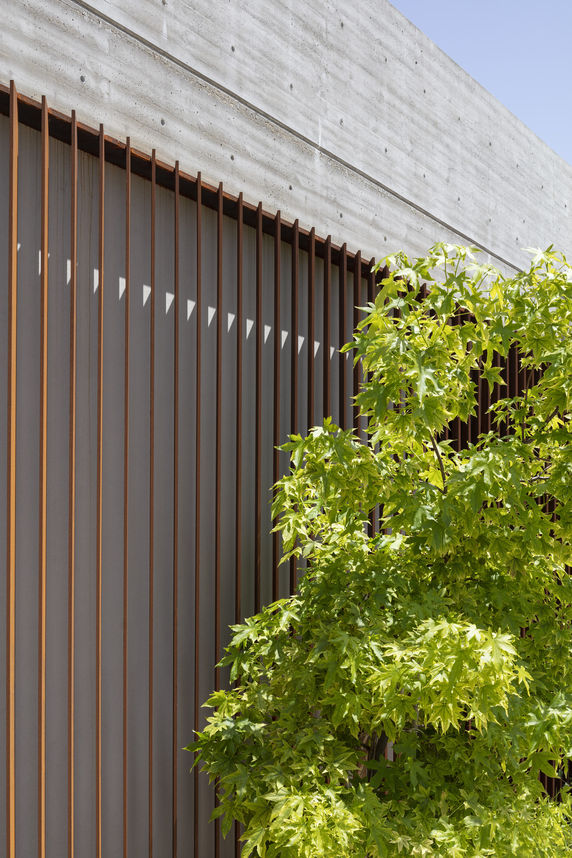 Vertical timber slat screen beneath a concrete lintel partially concealed by foliage