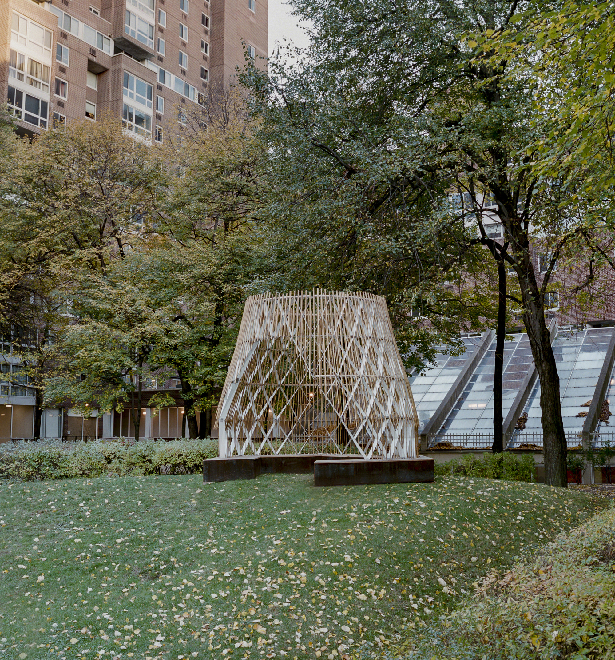 Tapered timber structure elevated on weathered steel beams among mature trees in autumn
