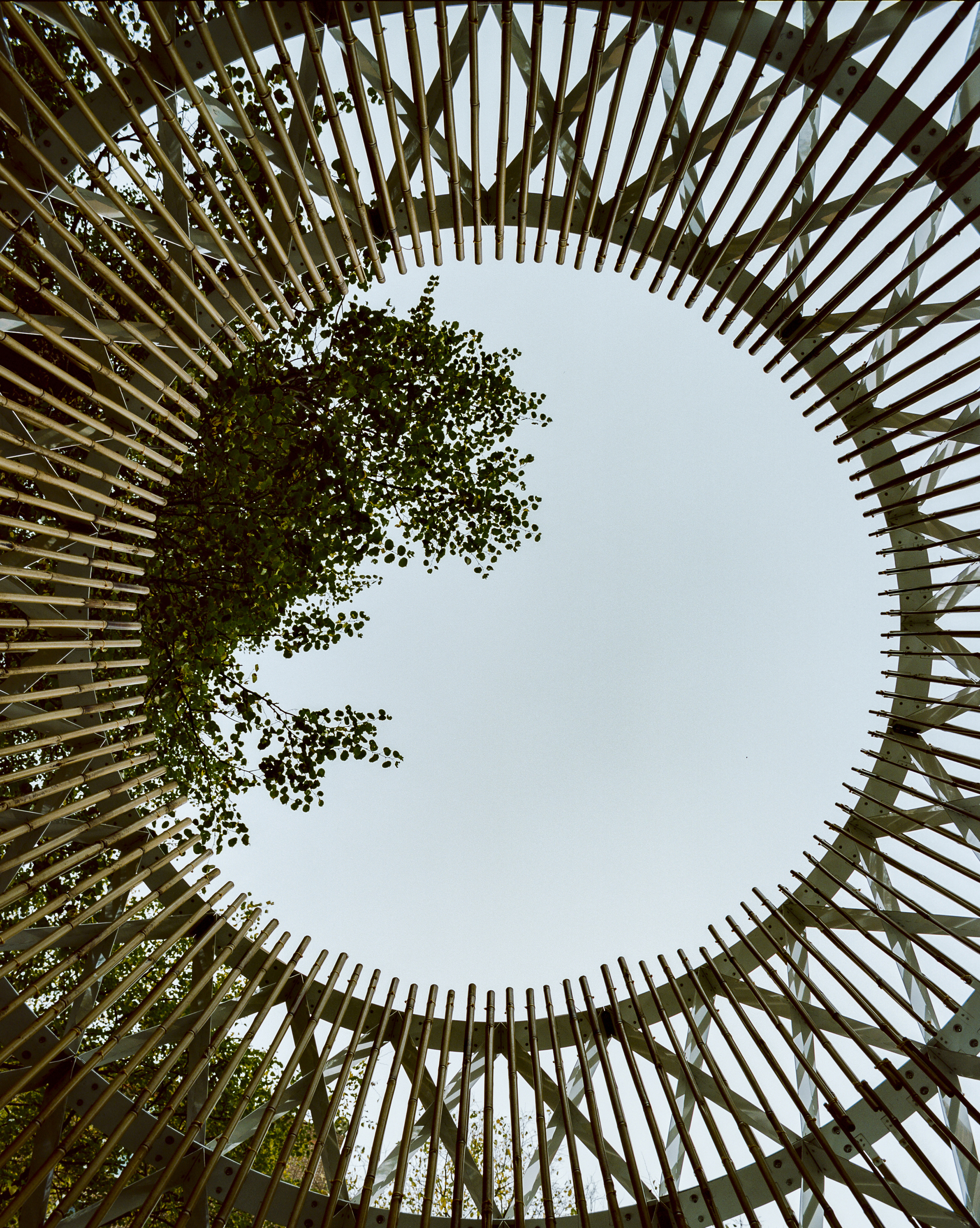 Upward view through the circular opening at the top of the timber lattice structure framing the sky