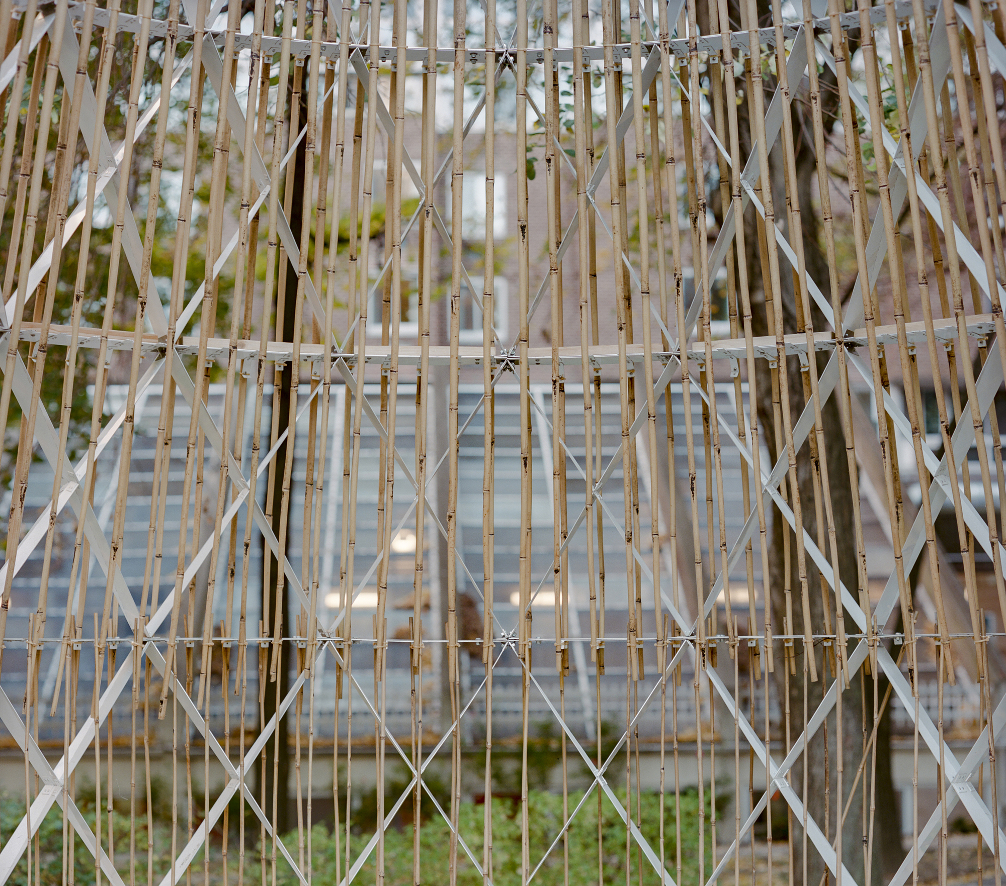 Lattice facade with vertical bamboo slats and diagonal white bracing against foliage backdrop