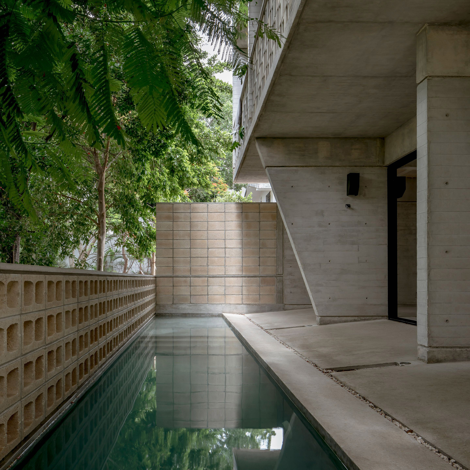 Narrow lap pool flanked by perforated brick wall and cast concrete terrace under lush tree canopy