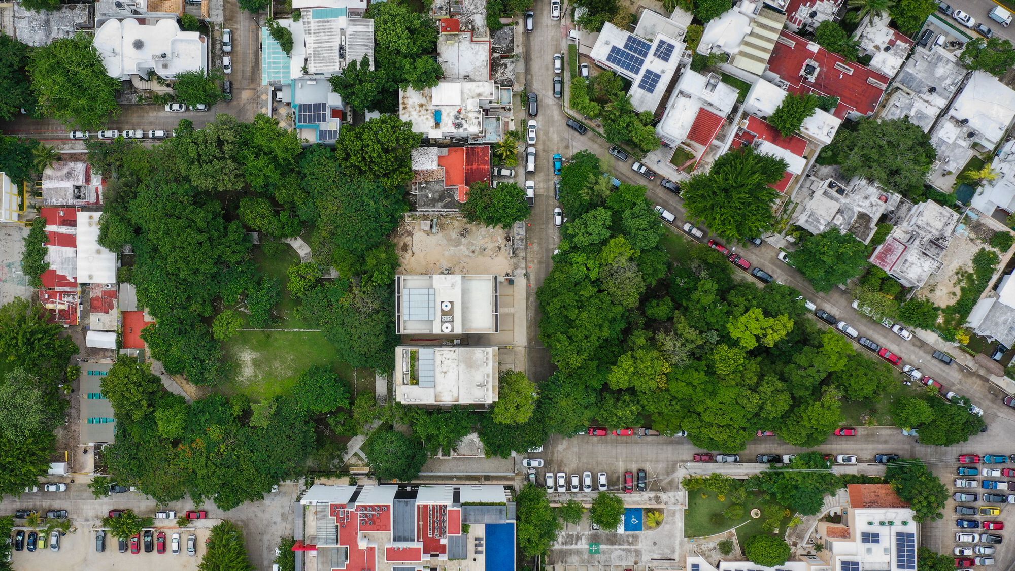 Aerial view of residential rooftops with varied colors nestled among dense tree canopy and street