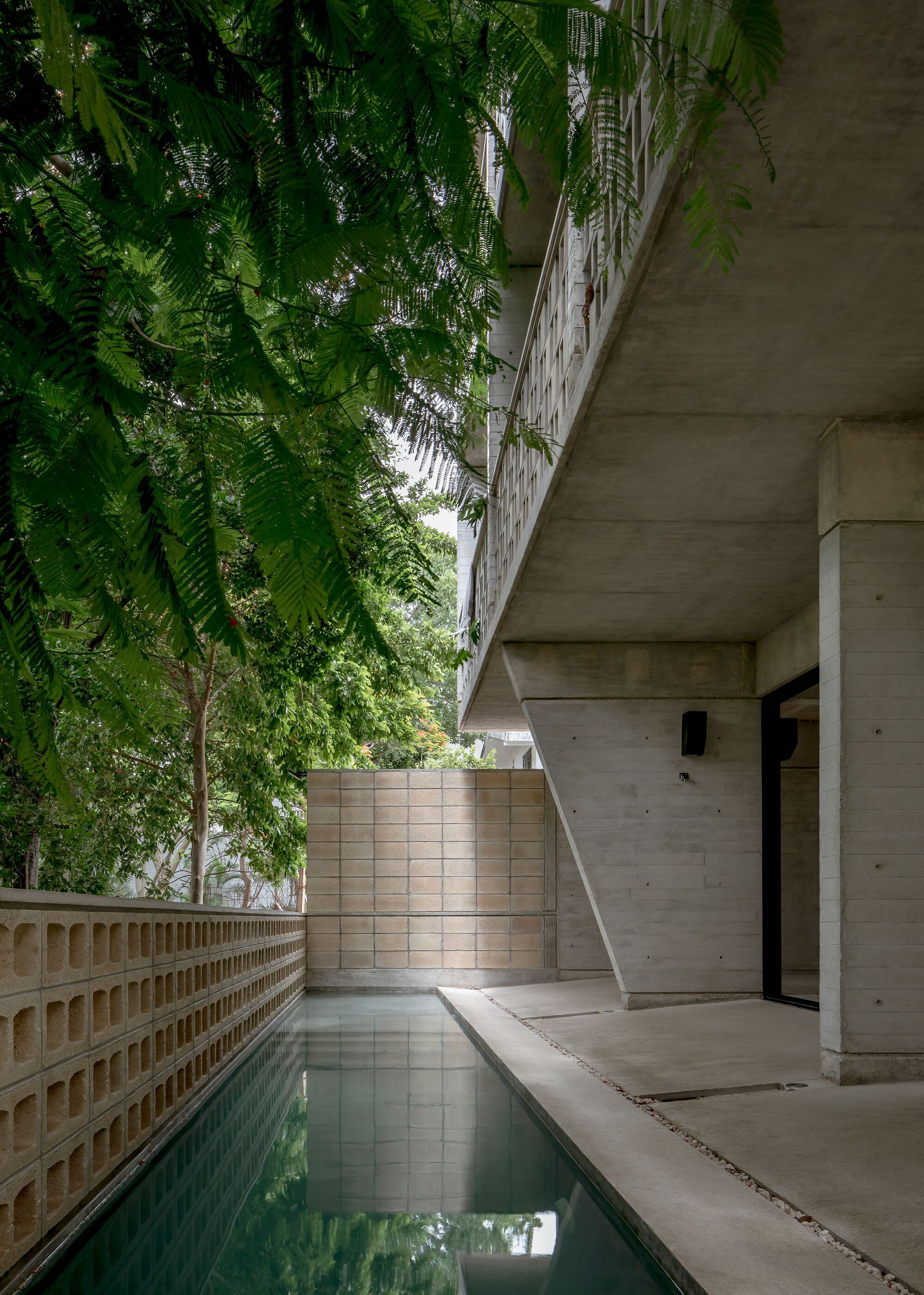 Narrow pool flanked by board-formed concrete walls and timber lattice screen beneath overhanging tree branches