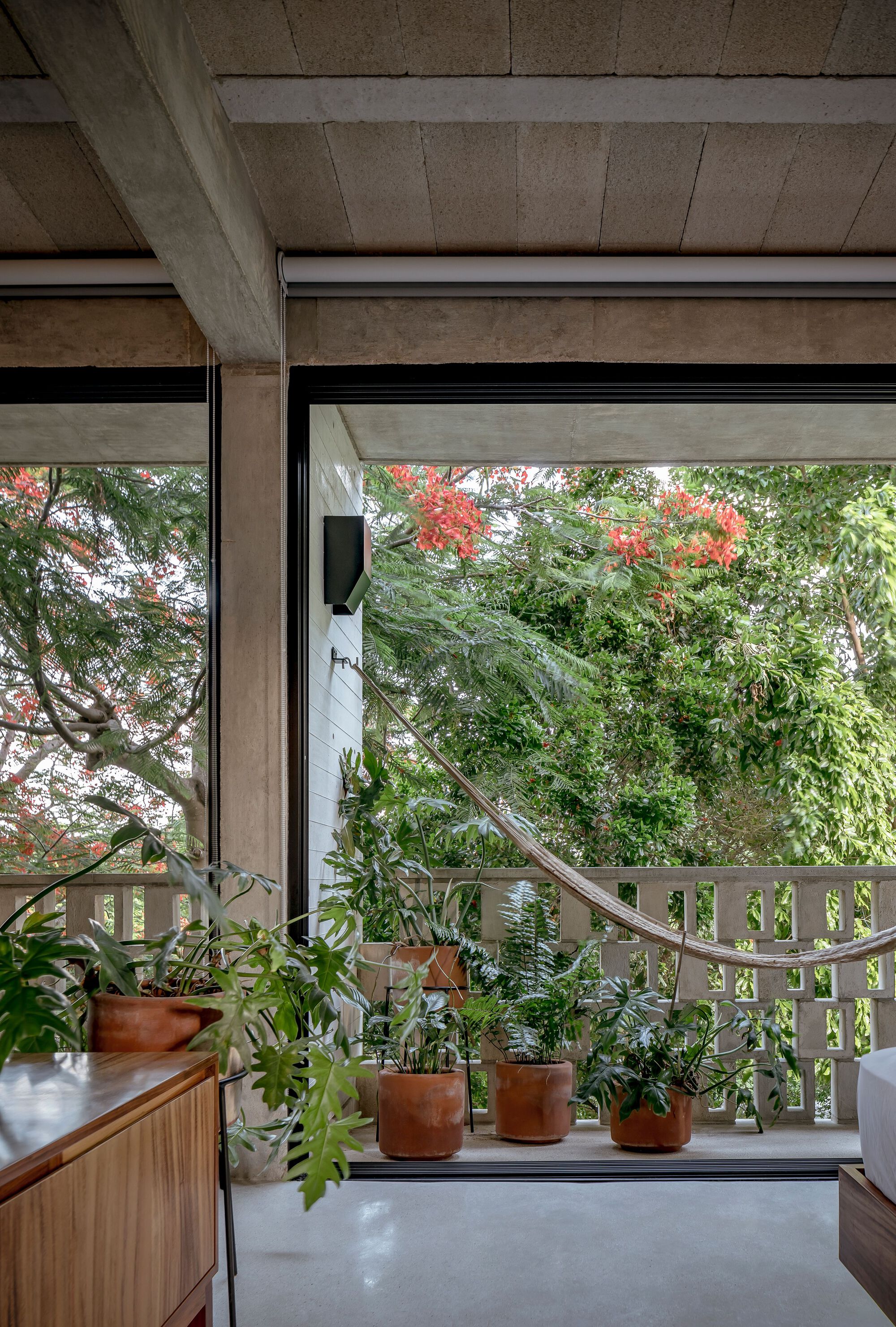 Corner window with potted plants on sill framing flowering tree and lattice screen beyond