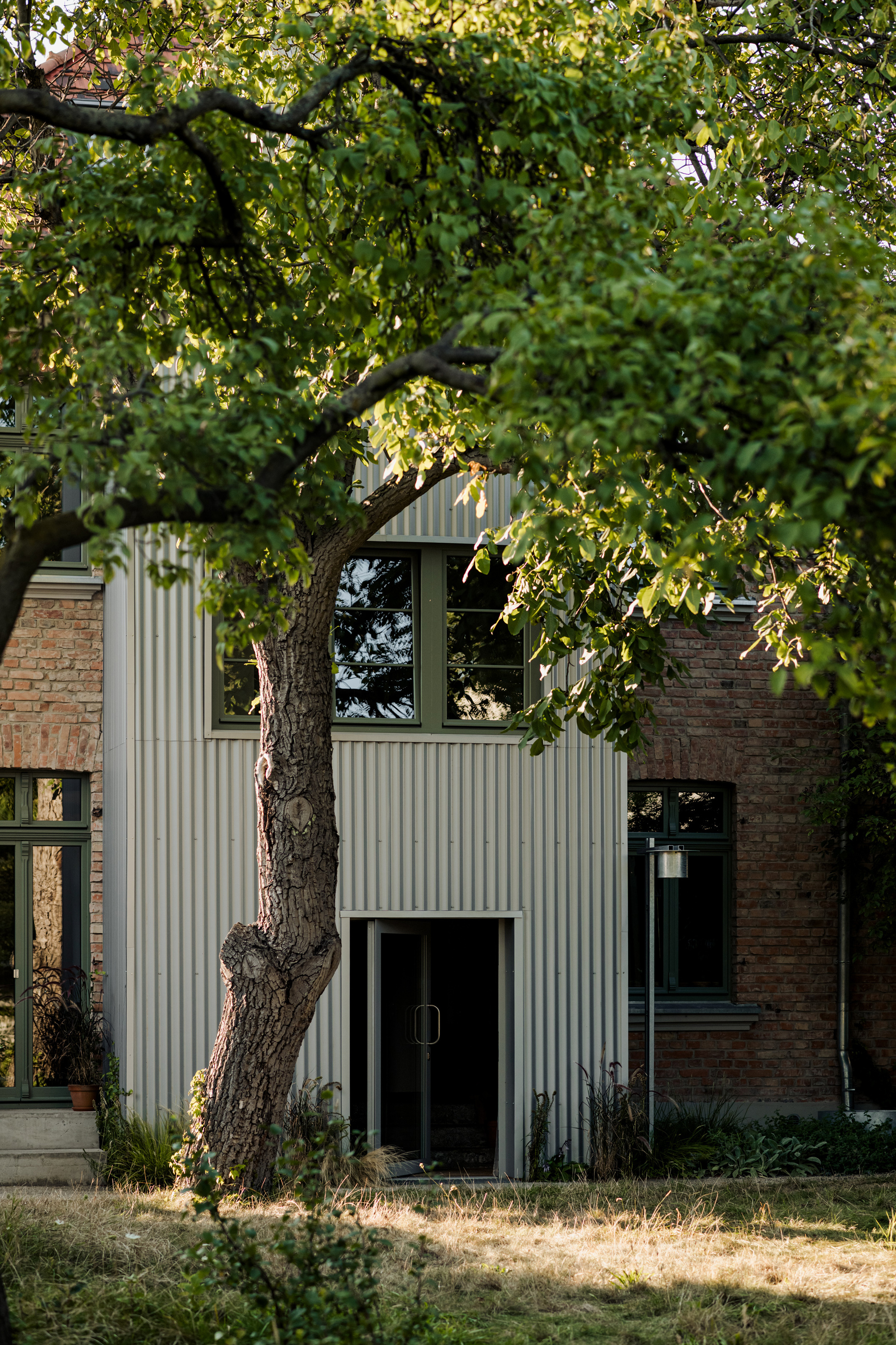 Corrugated metal facade addition with large tree in foreground and aged brick walls at dusk