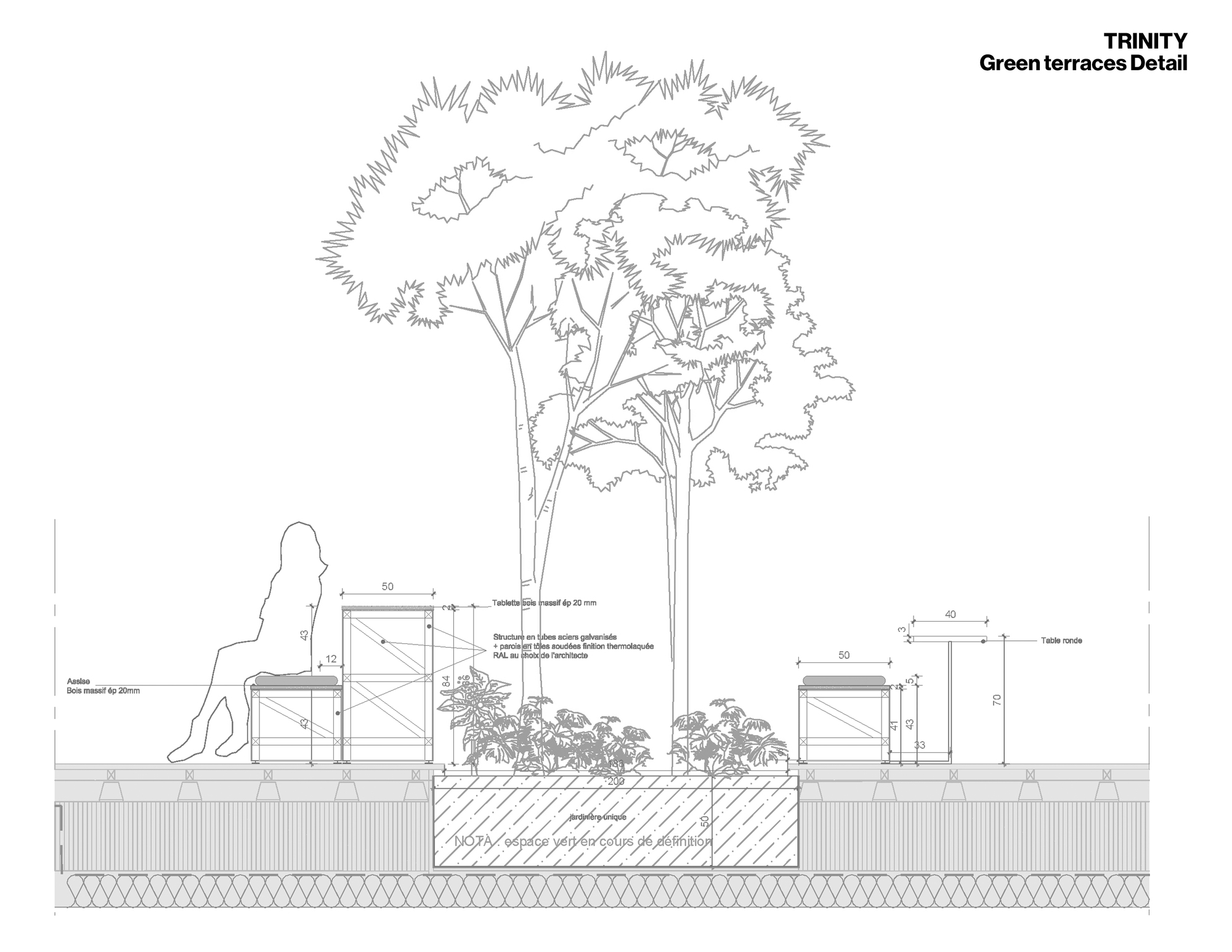 Section drawing of a planted terrace with raised beds, seating and mature trees