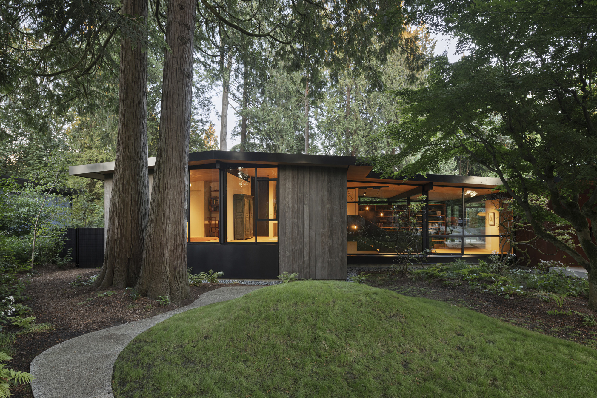 Weathered wood and black-clad pavilion nestled among towering conifers at dusk