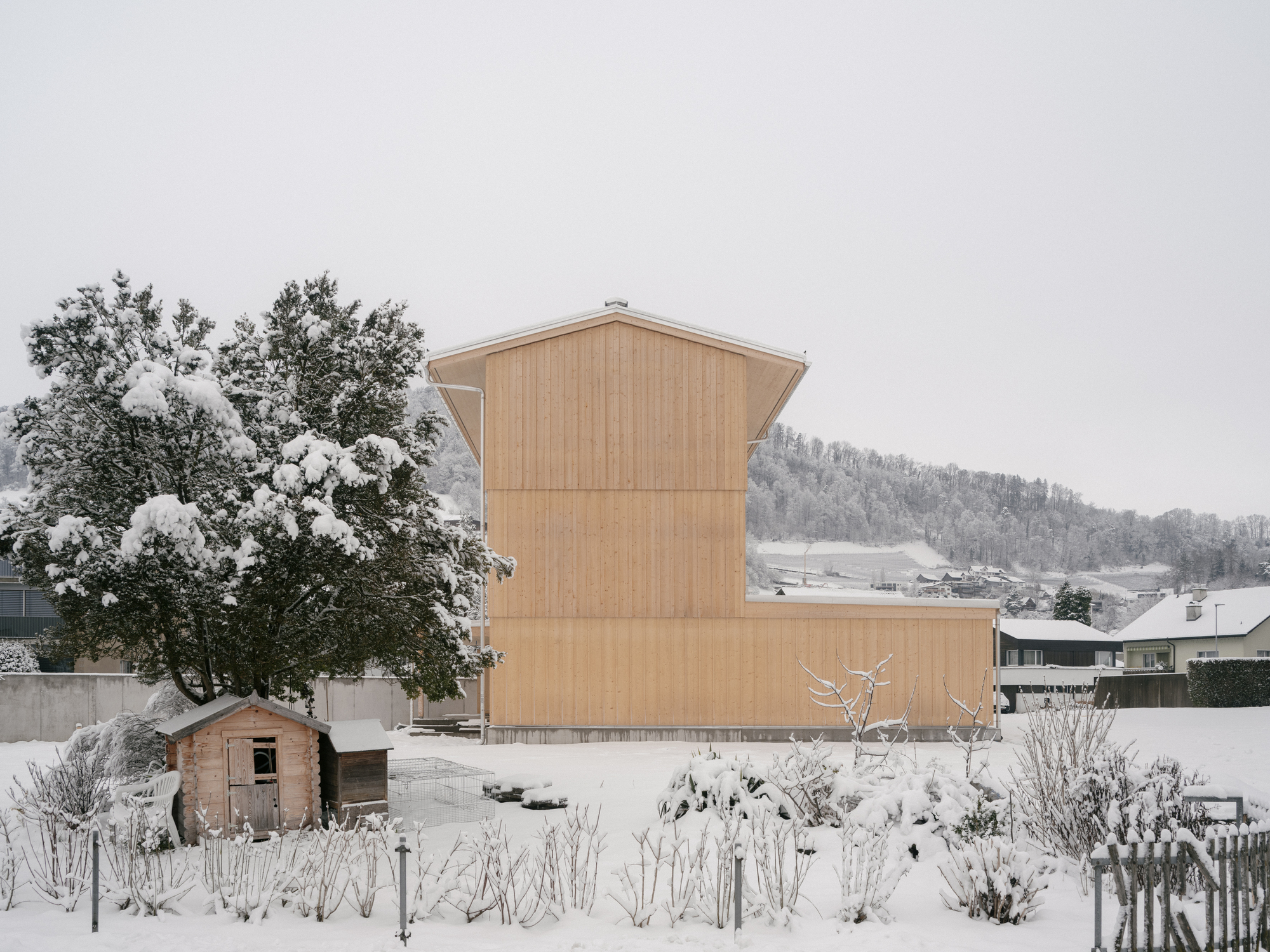 Rear view of the vertical timber-clad volume rising above a snow-covered garden with a small shed