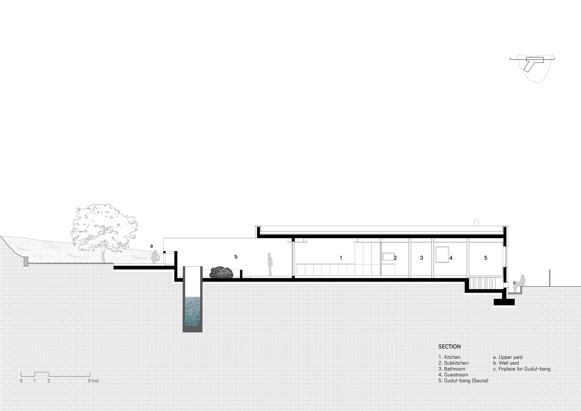 Section drawing showing sloped interior spaces with a tree and pool at the lower level