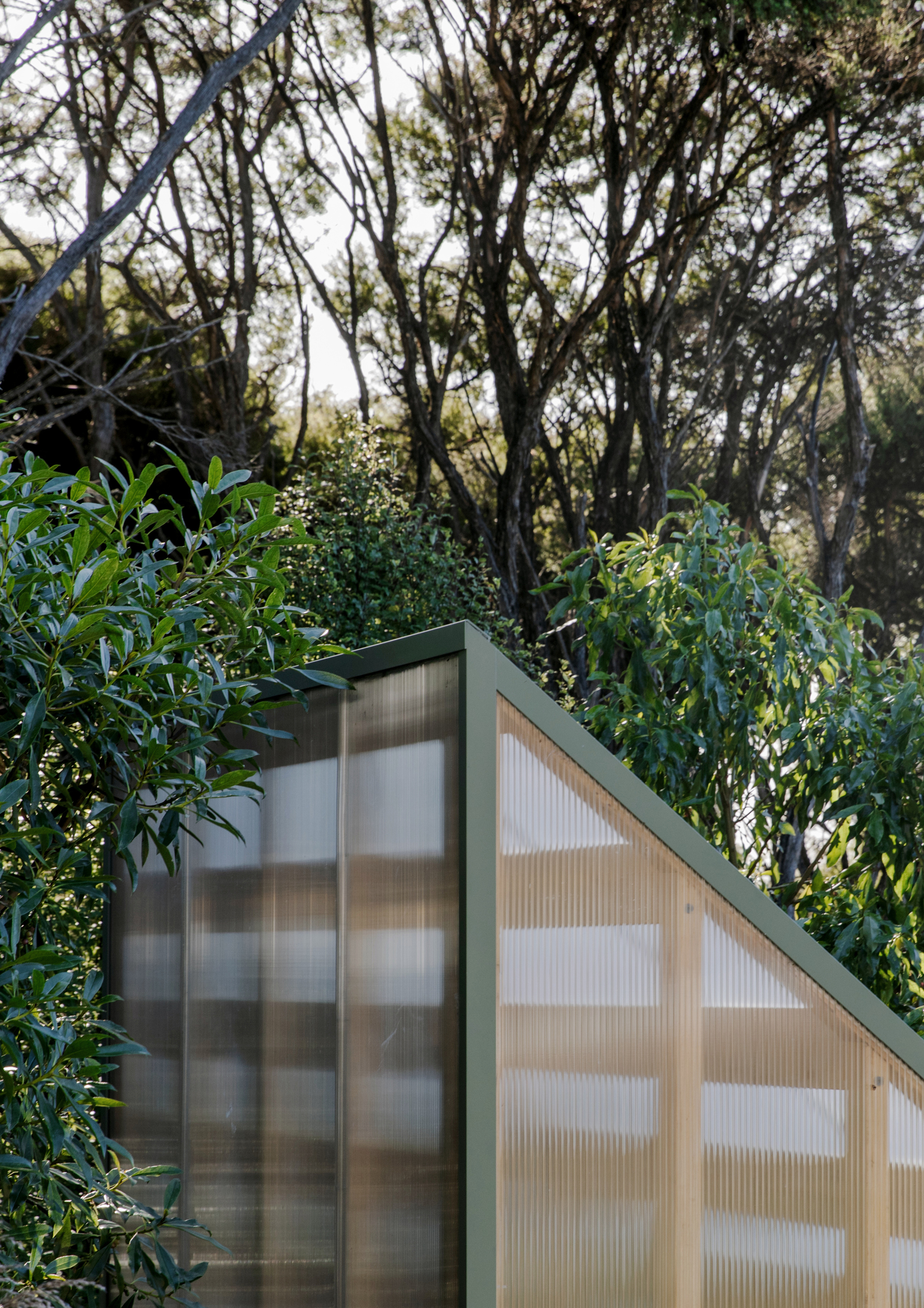 Pitched roof structure with translucent polycarbonate cladding and green metal trim surrounded by native vegetation
