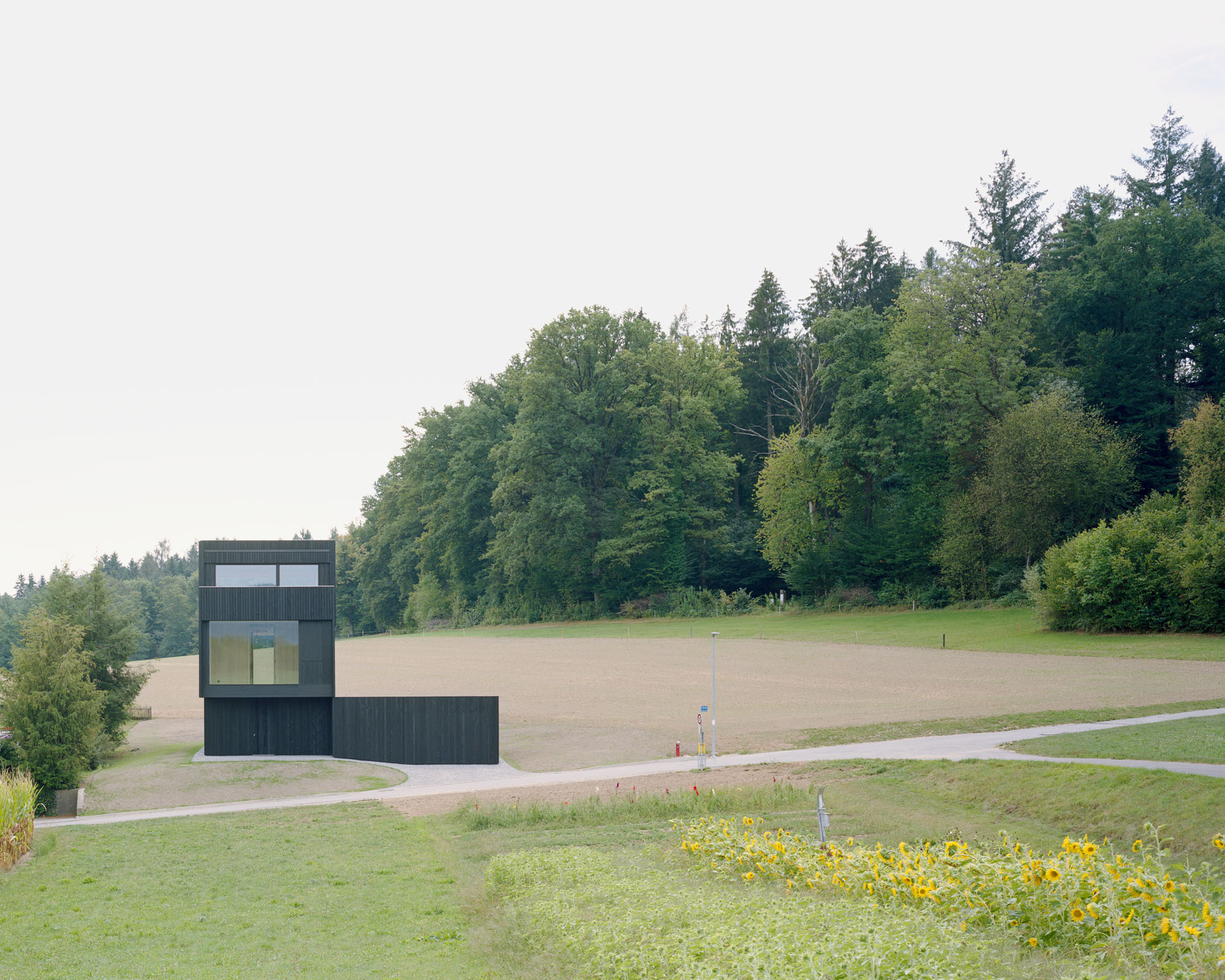 Dark timber tower structure with yellow wildflowers in foreground and rolling fields beyond