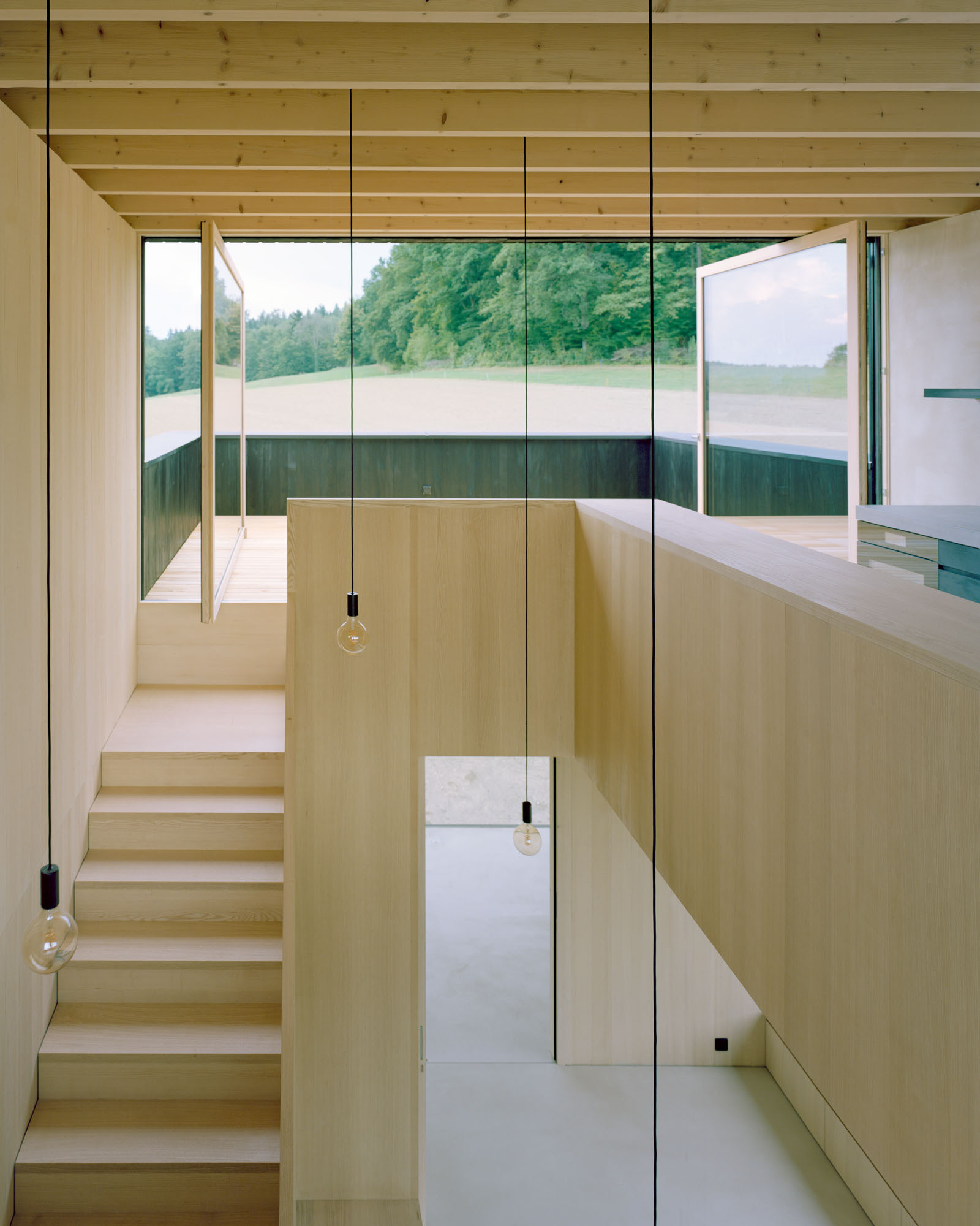 Double-height plywood-lined interior with timber stair and full-height glazing overlooking a forested landscape