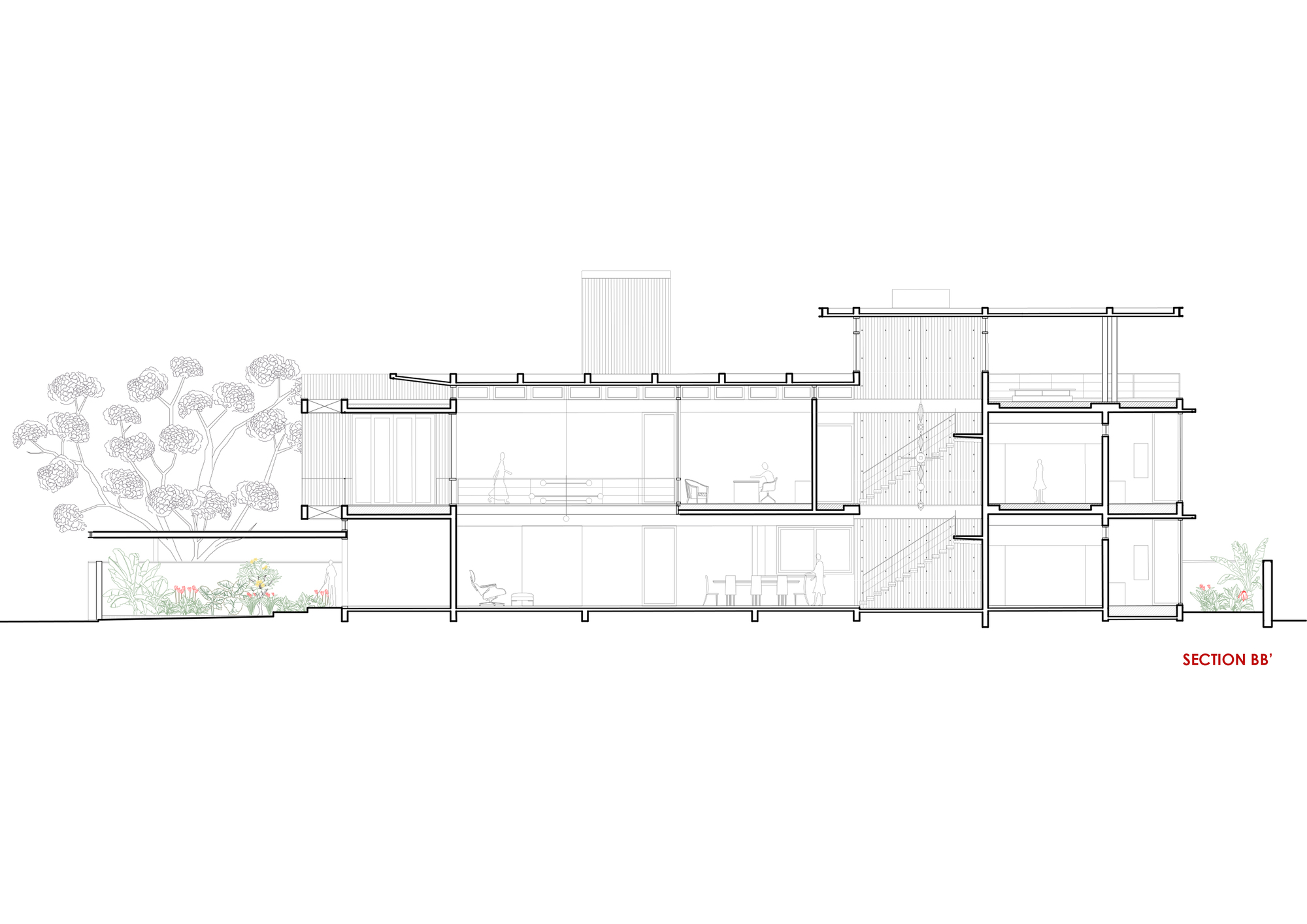 Longitudinal section drawing showing multiple floor levels with staircase and flanking vegetation