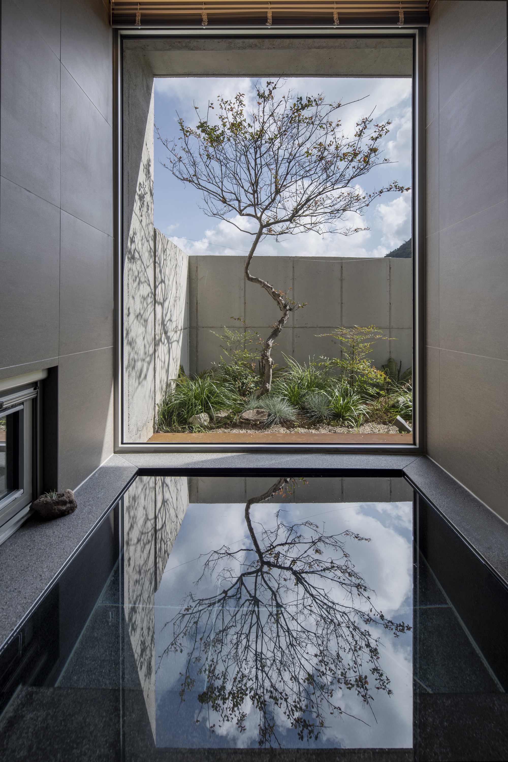 Interior courtyard view through window framing a single tree with reflecting pool mirroring sky and branches