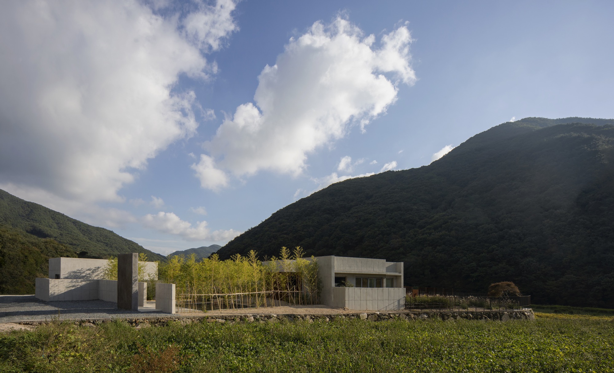 Low-rise concrete volumes with bamboo grove beside a stone retaining wall and forested hillside