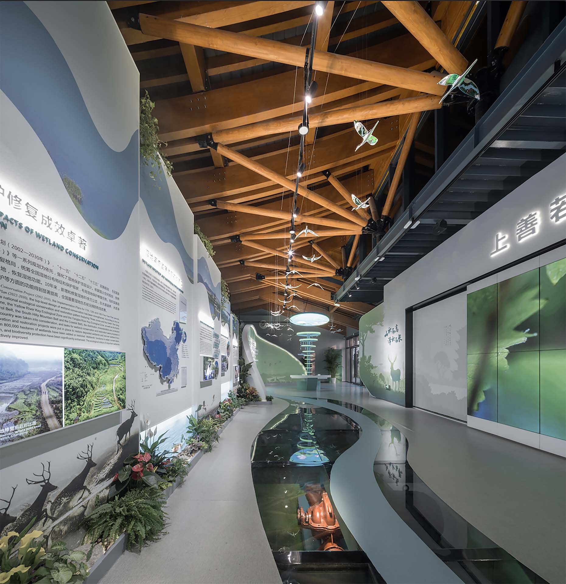 Interior exhibition hall with exposed timber roof beams, curved water feature, and suspended bird sculptures