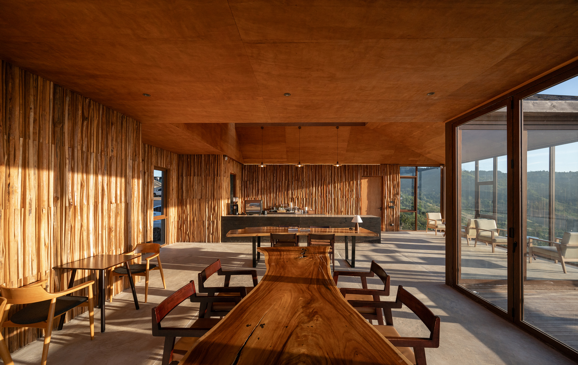 Living area with live-edge timber bench and sliding glass doors to terrace framed by hillside views