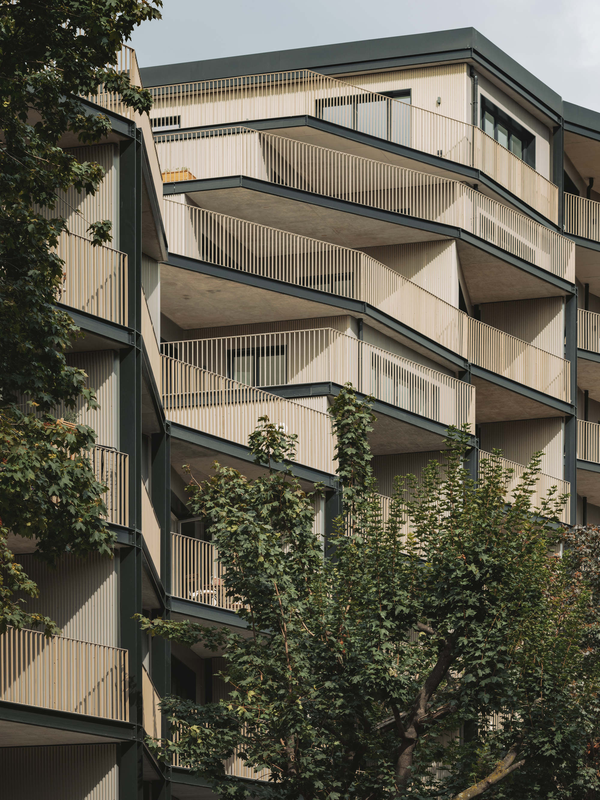 Close-up of the cantilevered balconies with vertical timber screening and trees in the foreground