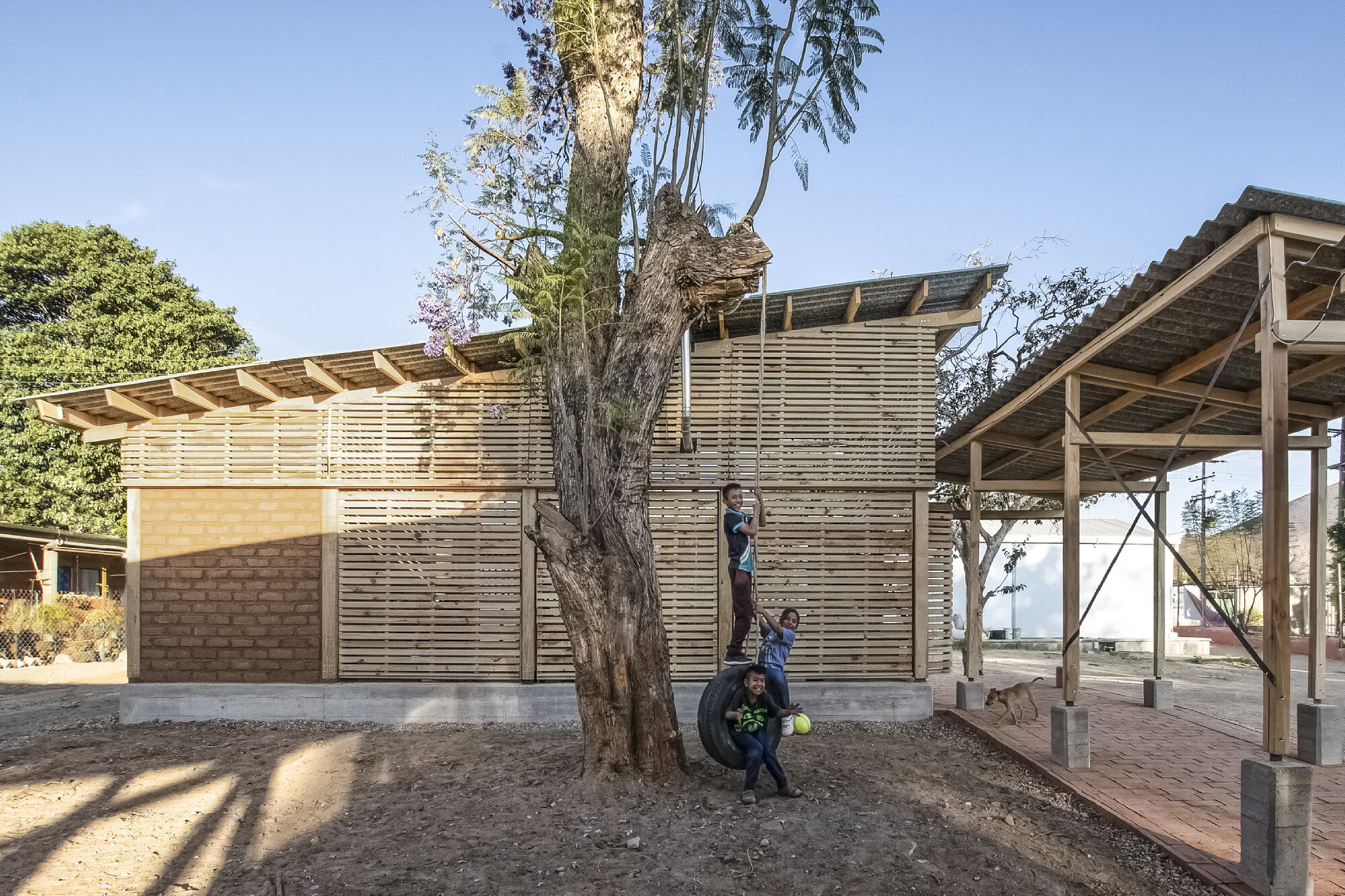 Exterior view of the timber slatted pavilions flanking a mature tree with children playing on a tire swing