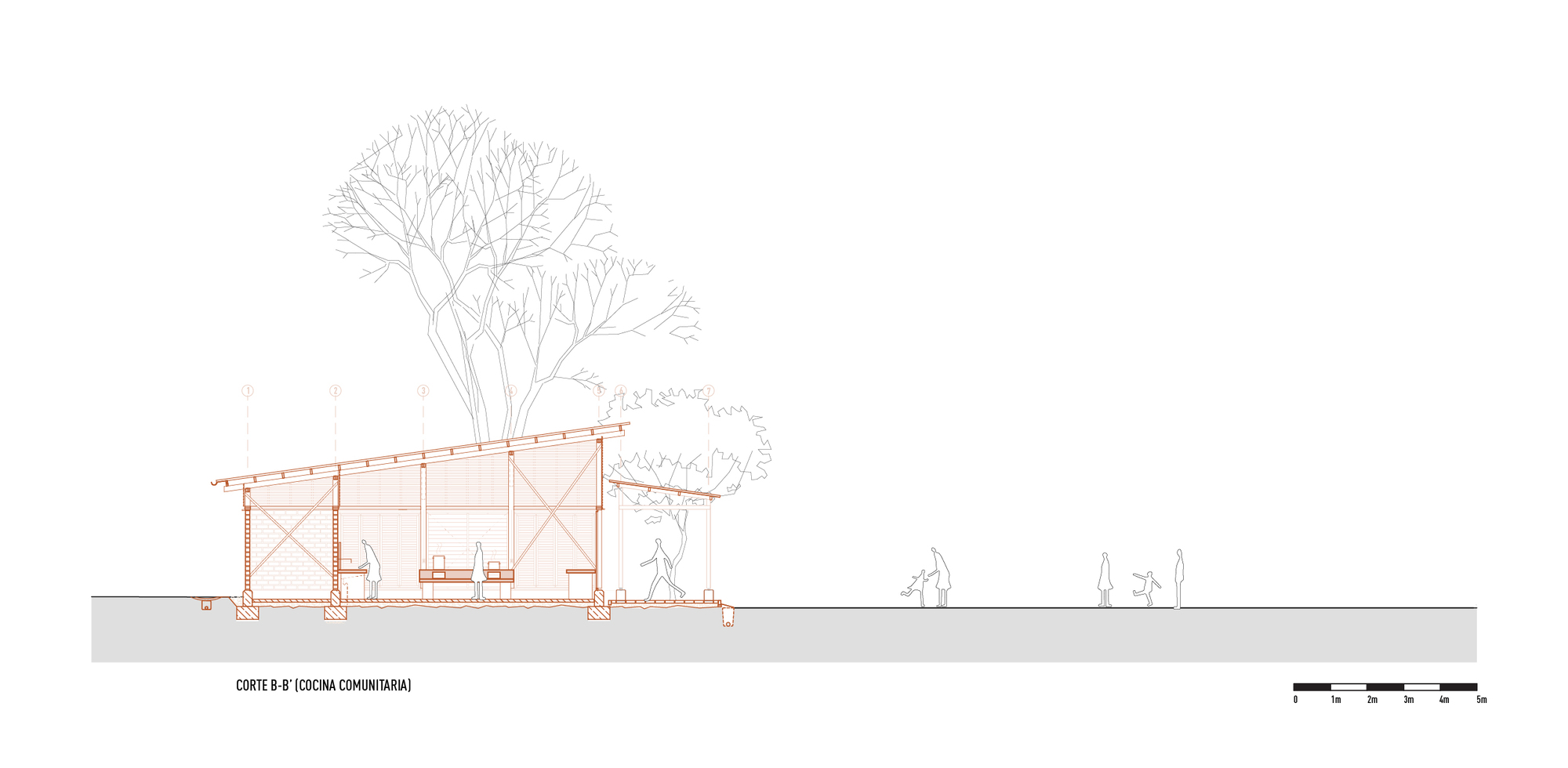 Section drawing revealing the interior dining space beneath exposed timber trusses with trees flanking both sides