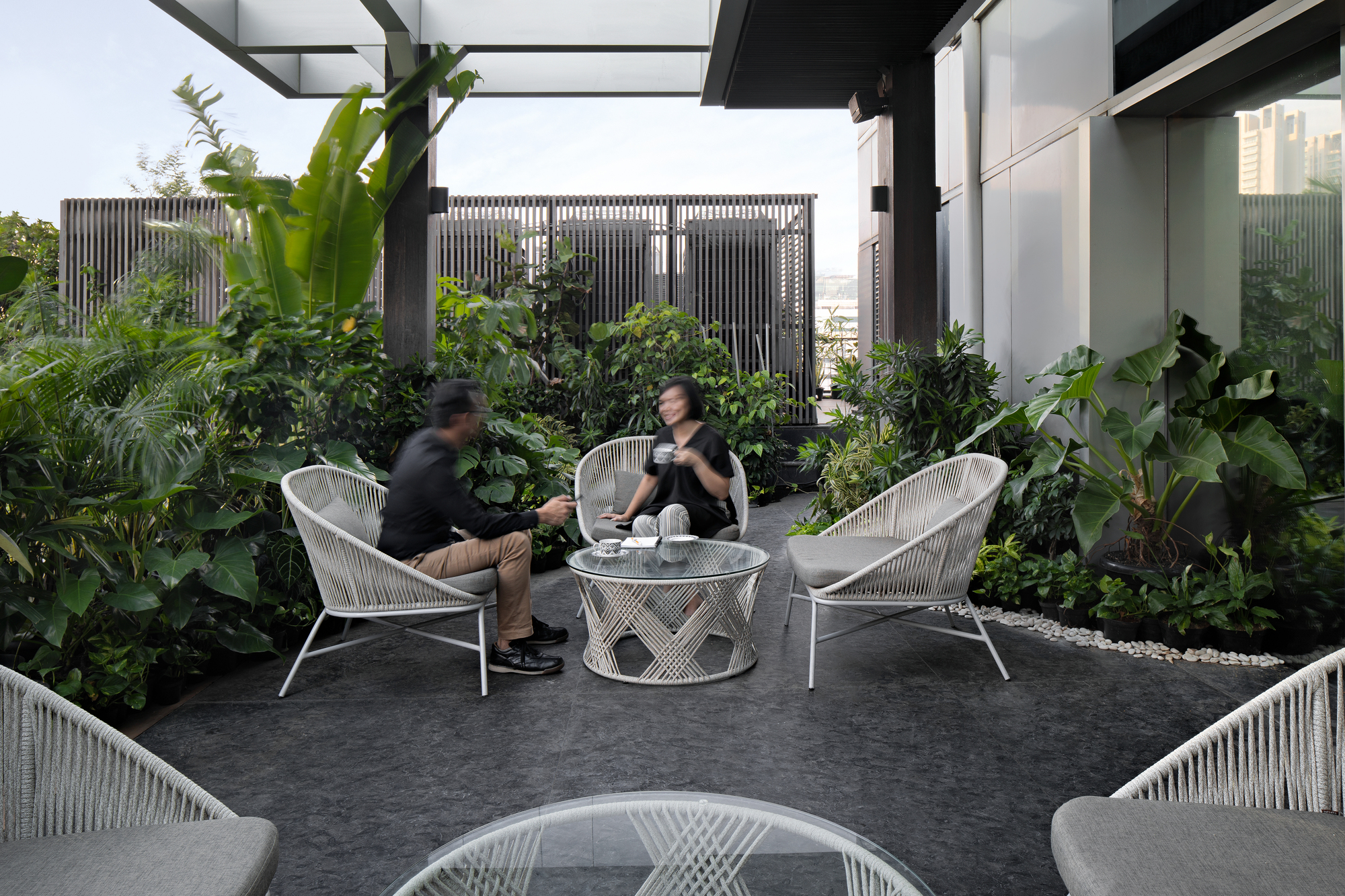 Outdoor terrace with wire frame seating surrounded by dense tropical planting and slatted screening