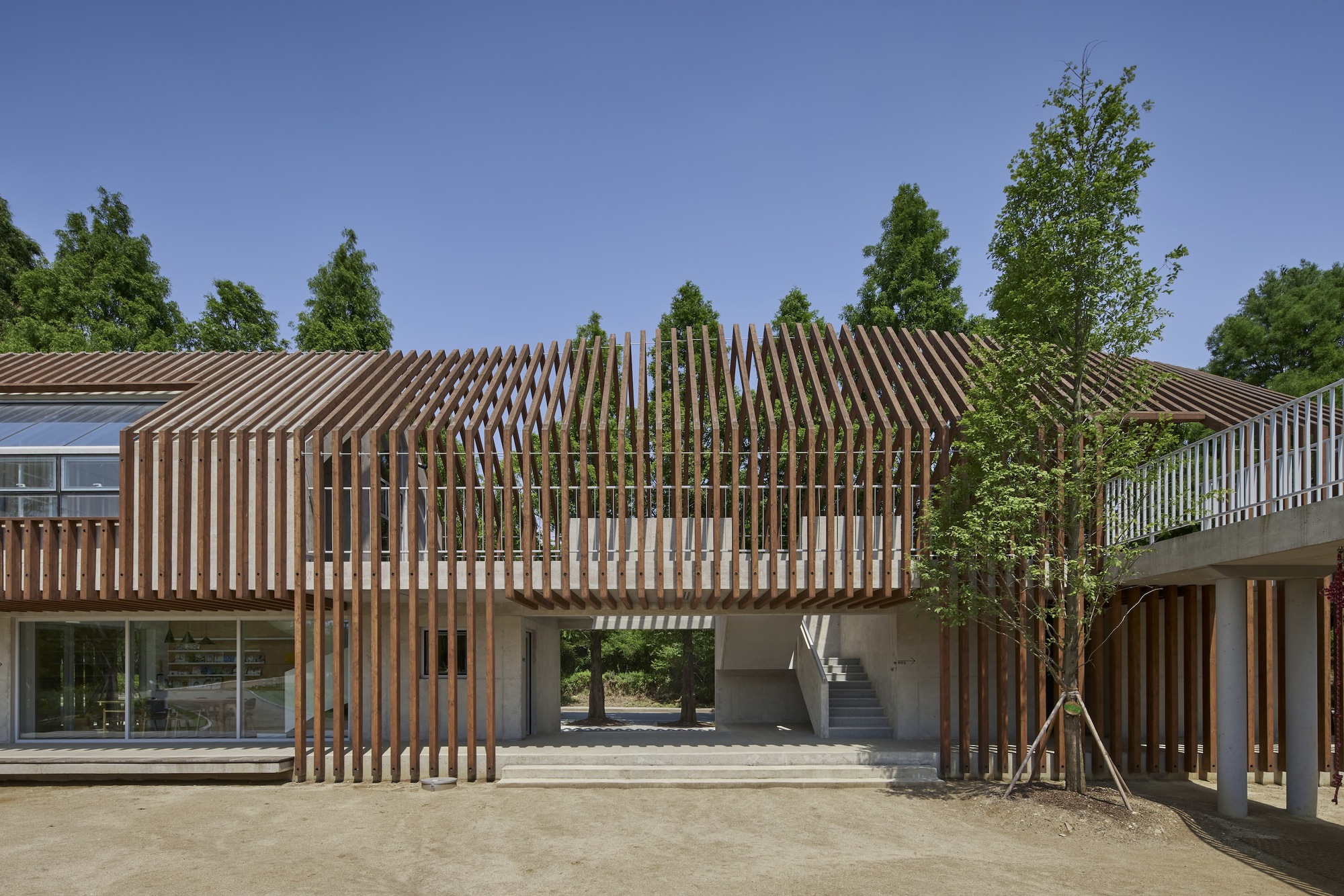 Central courtyard with densely spaced vertical timber columns framing a passage between planted areas