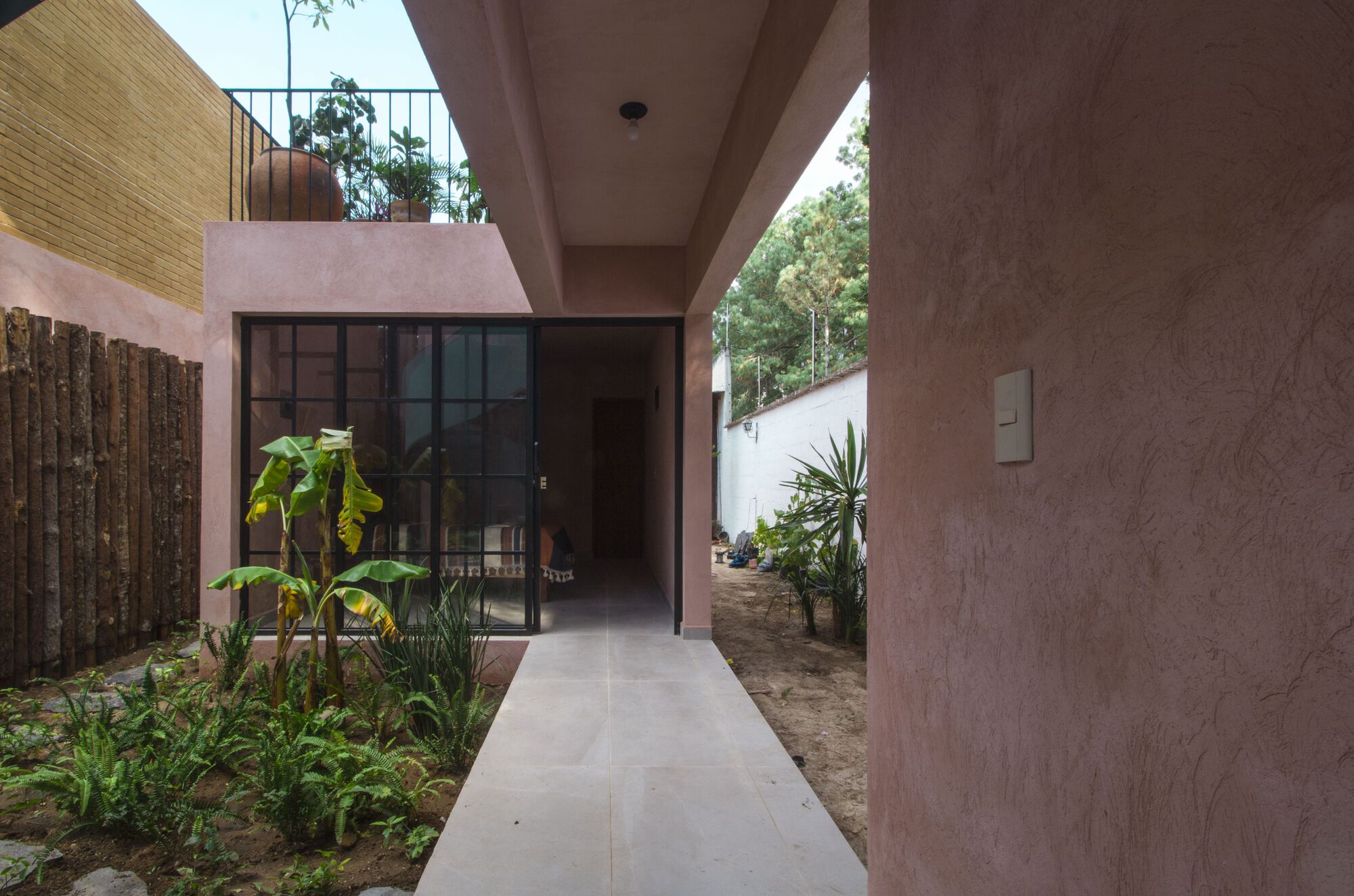 Concrete path leading to a black-framed glass door through a garden courtyard with banana plants