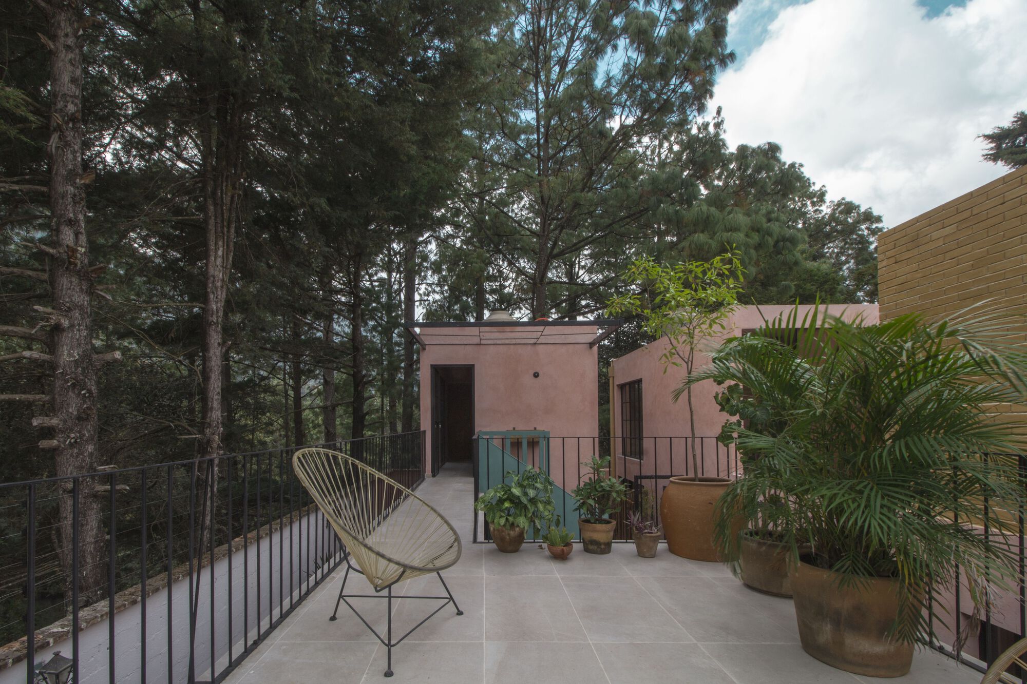 Rooftop terrace with metal railings, potted palms and a wire chair overlooking the forest