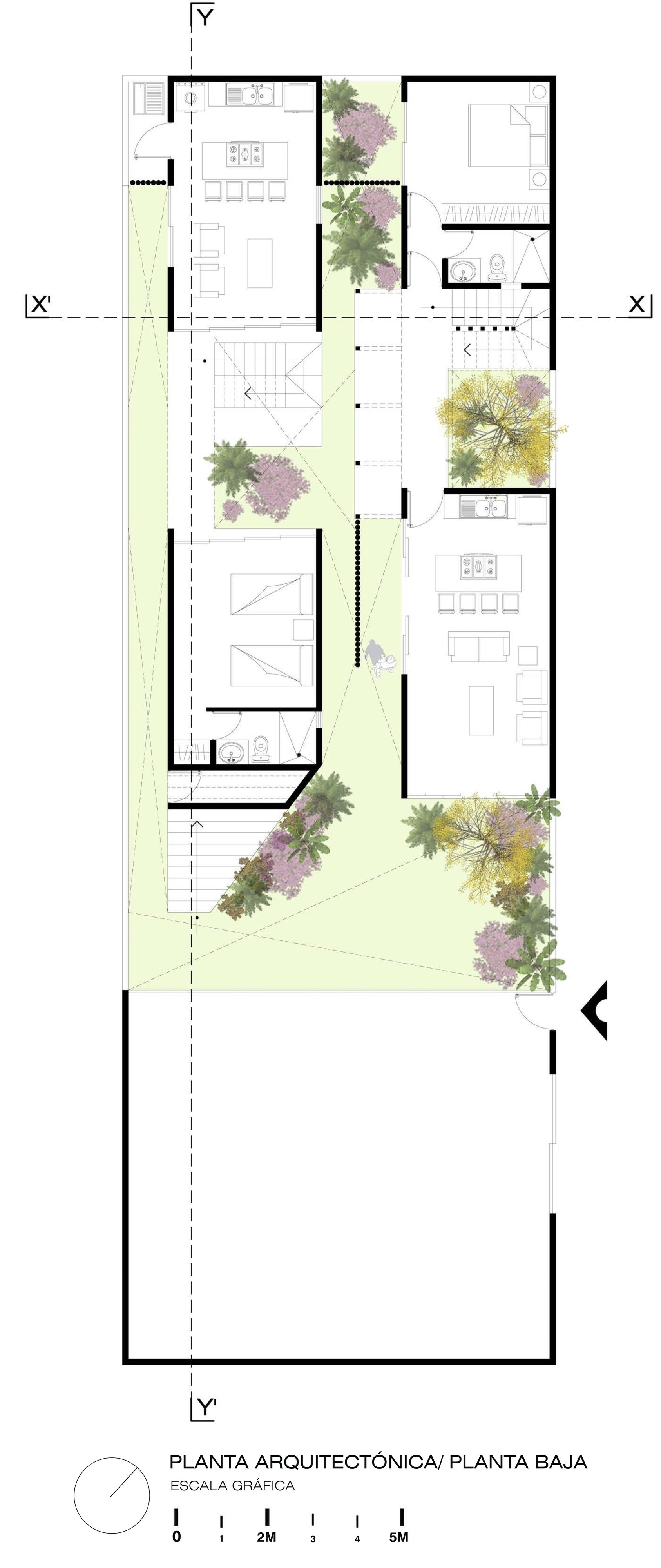 Ground floor plan drawing showing interior rooms and exterior courtyard with planted purple and yellow flowering trees