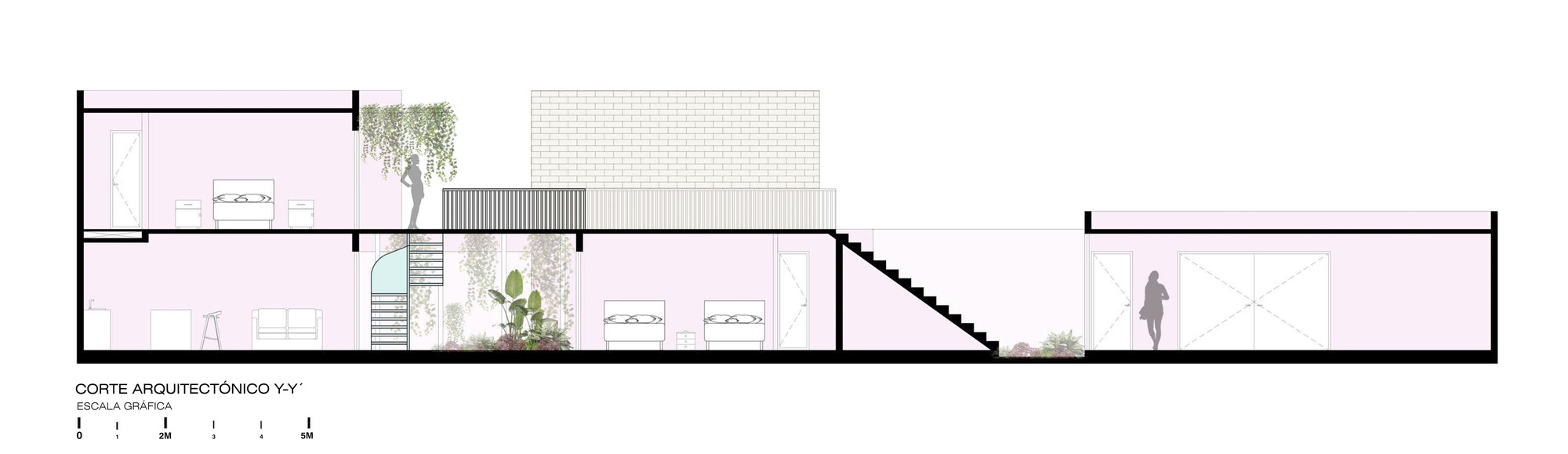 Section drawing showing split-level volumes with central courtyard, brick wall and planted greenery between spaces