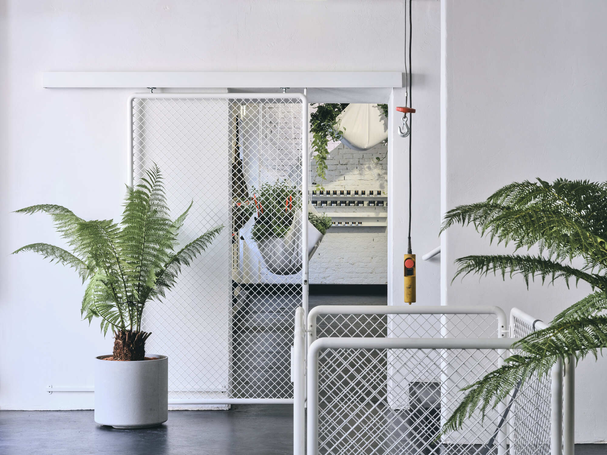 White mesh sliding door with potted ferns on dark flooring opening to adjacent room