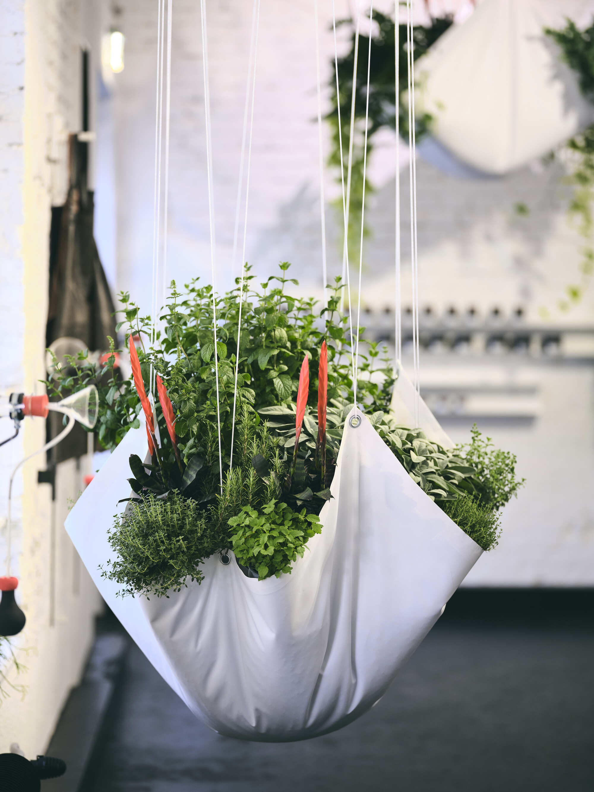 Close-up of suspended white fabric planter with herbs and carrots hanging from cable system