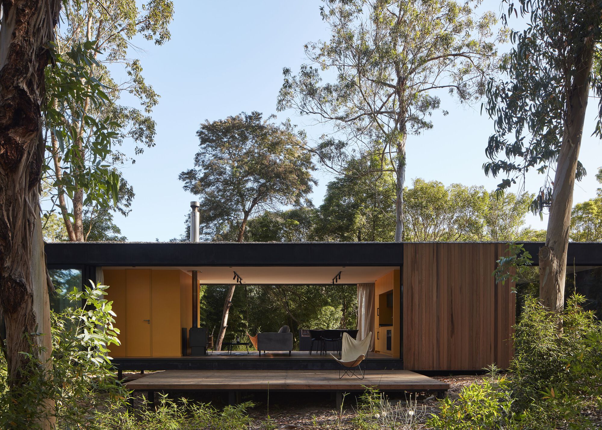 Timber and steel pavilion with a central glazed opening framed by eucalyptus trees