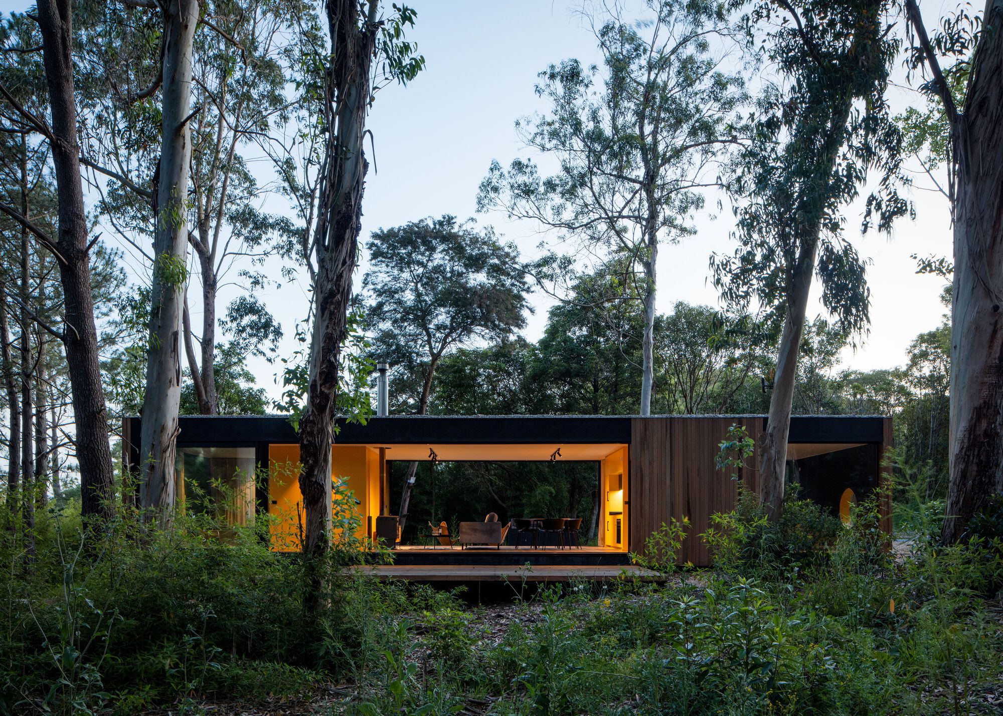 Low-profile residence with timber cladding and glazed openings nestled among tall eucalyptus trees at twilight