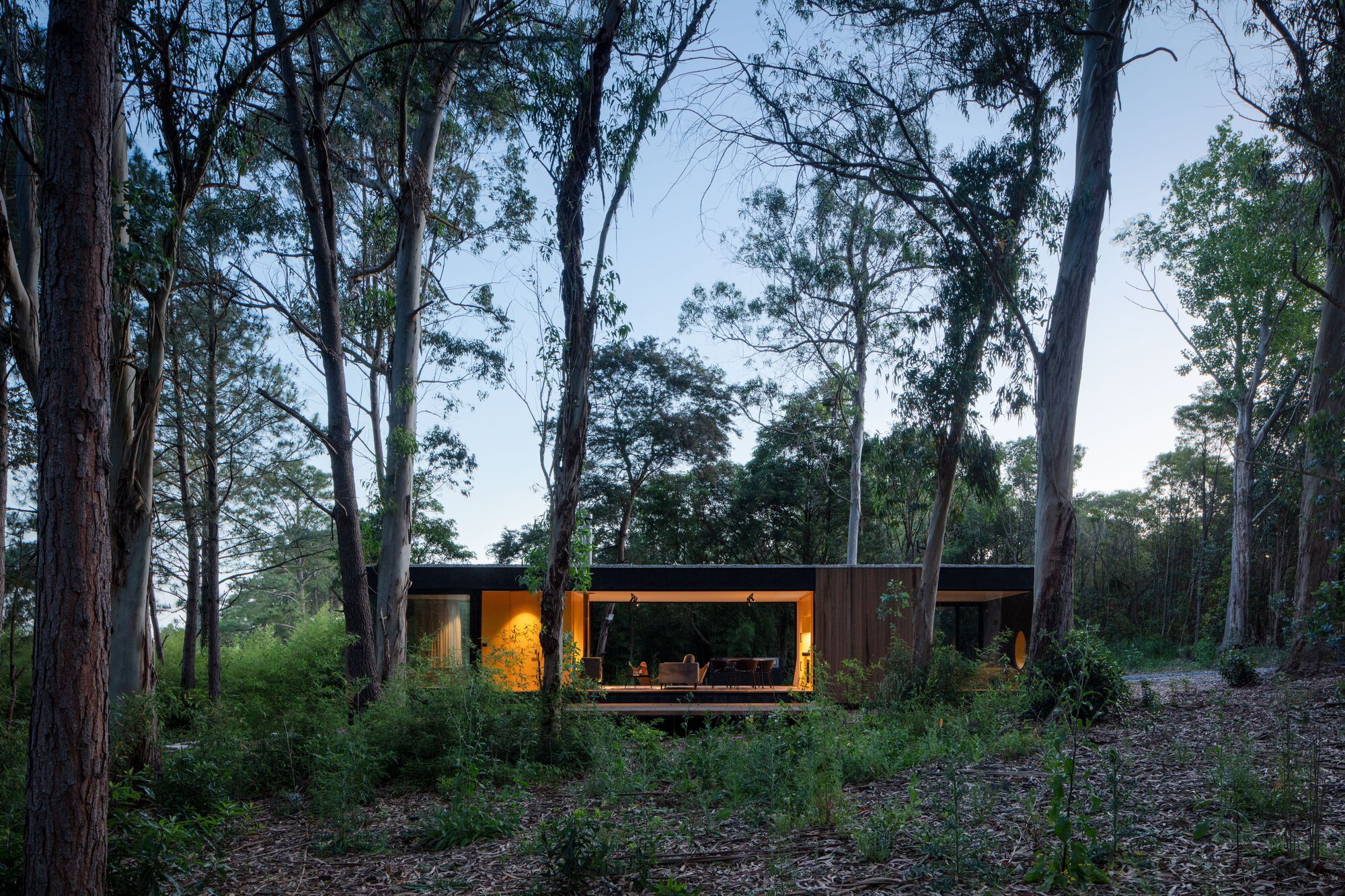Elevated view of the horizontal pavilion with warm interior lighting visible through forest vegetation at dusk