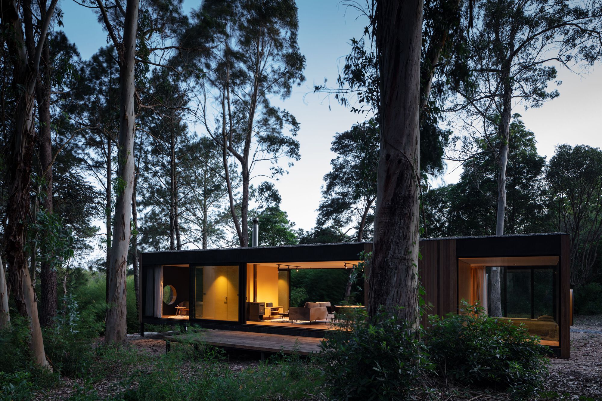 Glass-walled pavilion with timber cladding nestled among tall eucalyptus trees at dusk