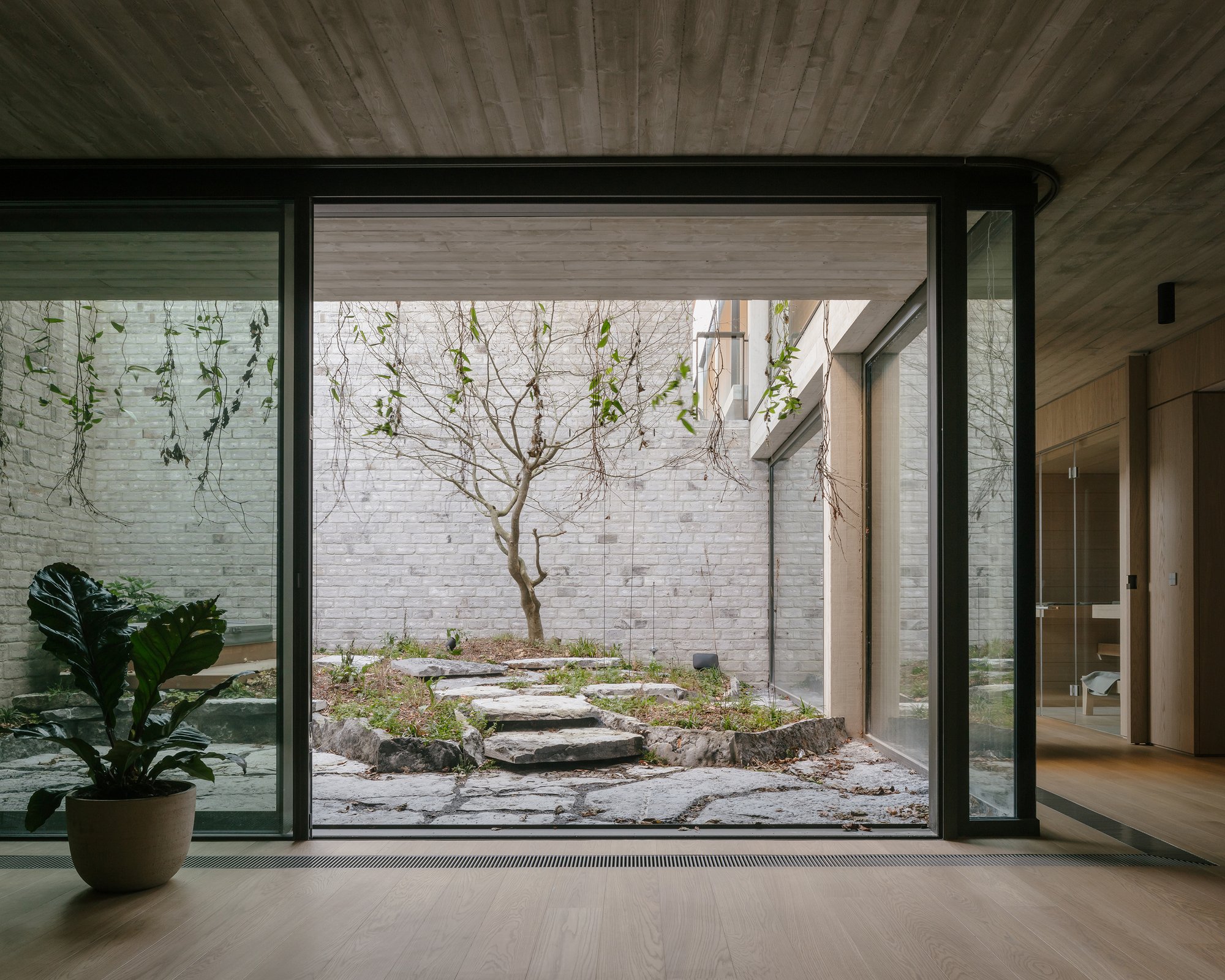 Interior courtyard with a small tree and stepping stones framed by full-height glazing