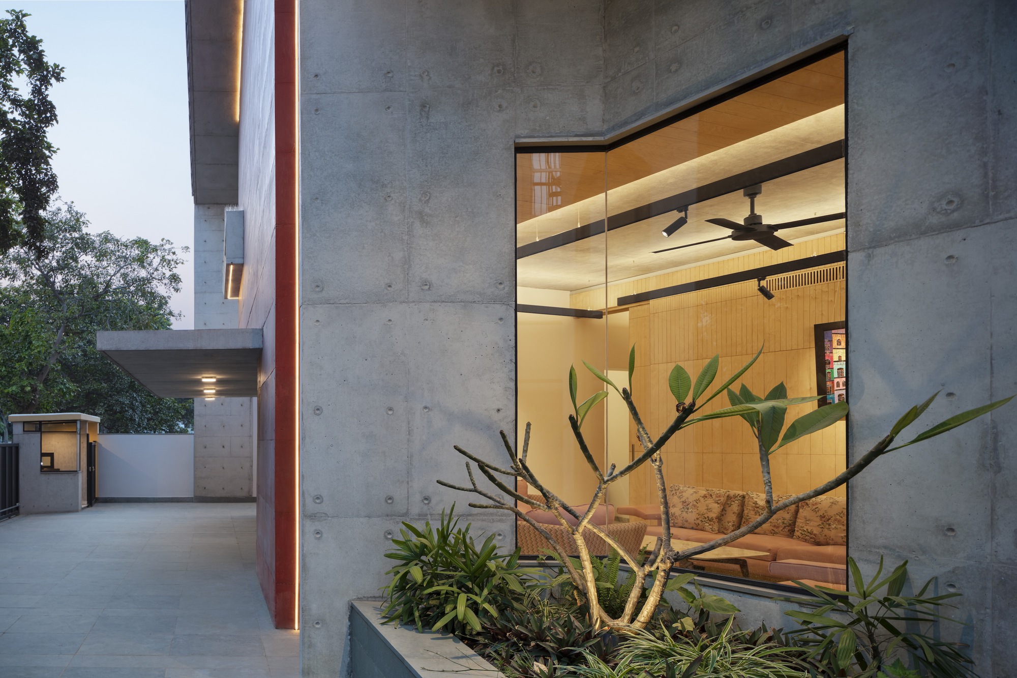 Courtyard view showing concrete walls and floor-to-ceiling glazing with planted bed and young tree at dusk