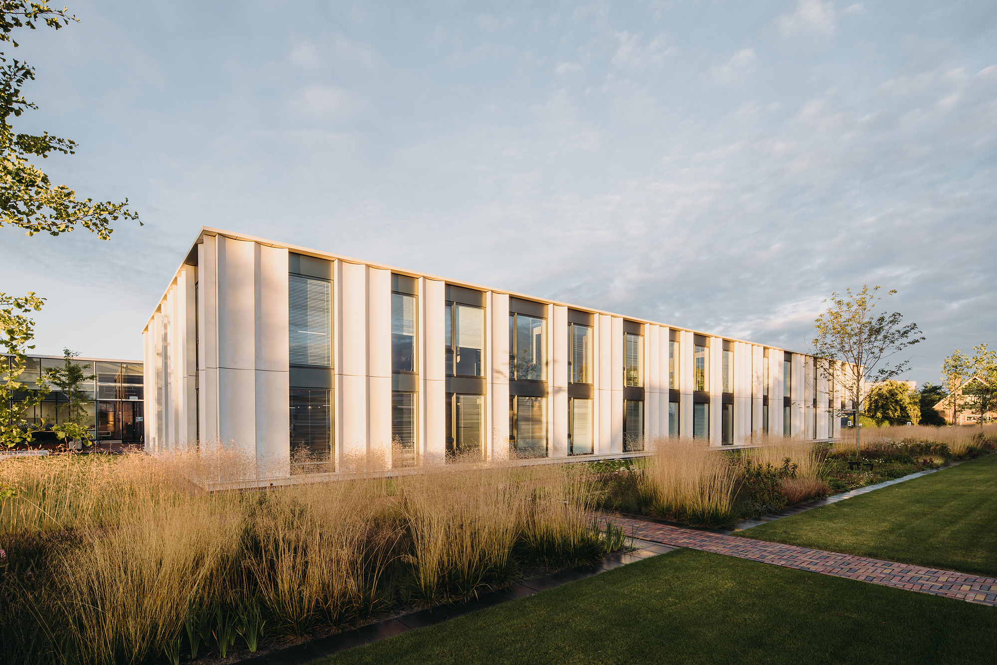 Vertical white paneled facade with glazed openings behind native grasses at golden hour