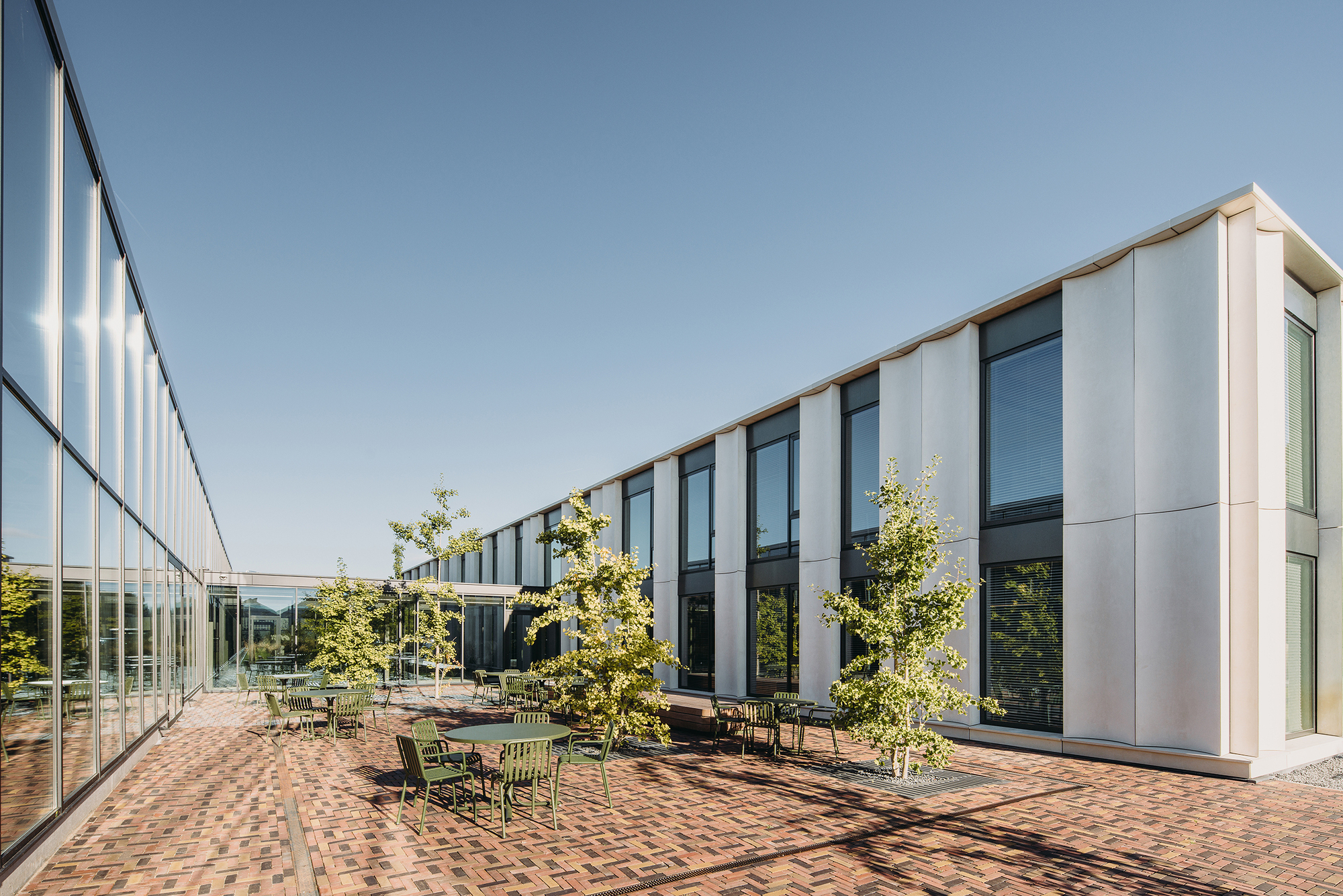 Brick courtyard terrace with young trees between glass and paneled facades under clear sky