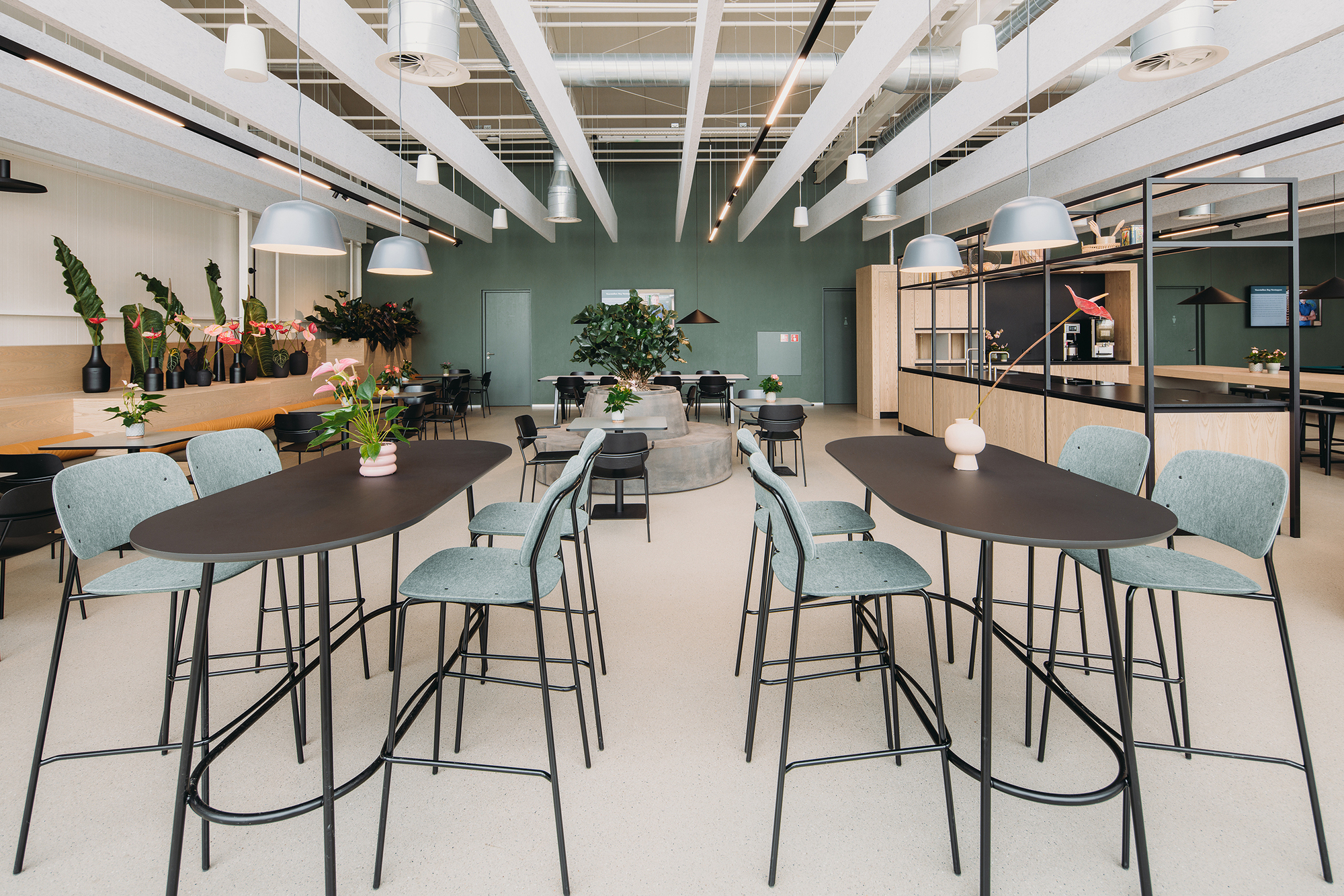 High-top tables with teal upholstered chairs facing sage green wall and potted plants