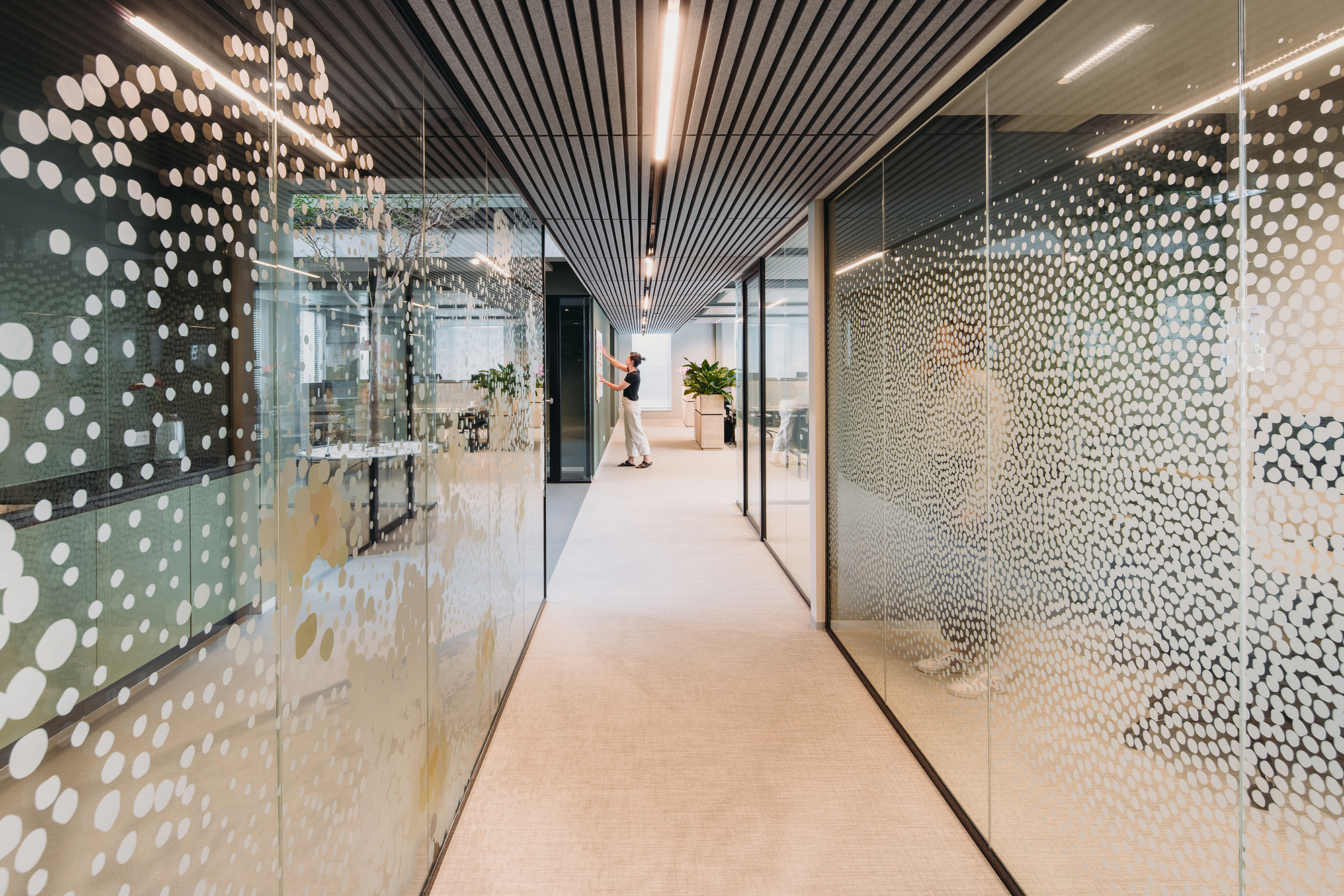 Glazed corridor with perforated film pattern on glass walls, slatted ceiling, and figure visible in the distance