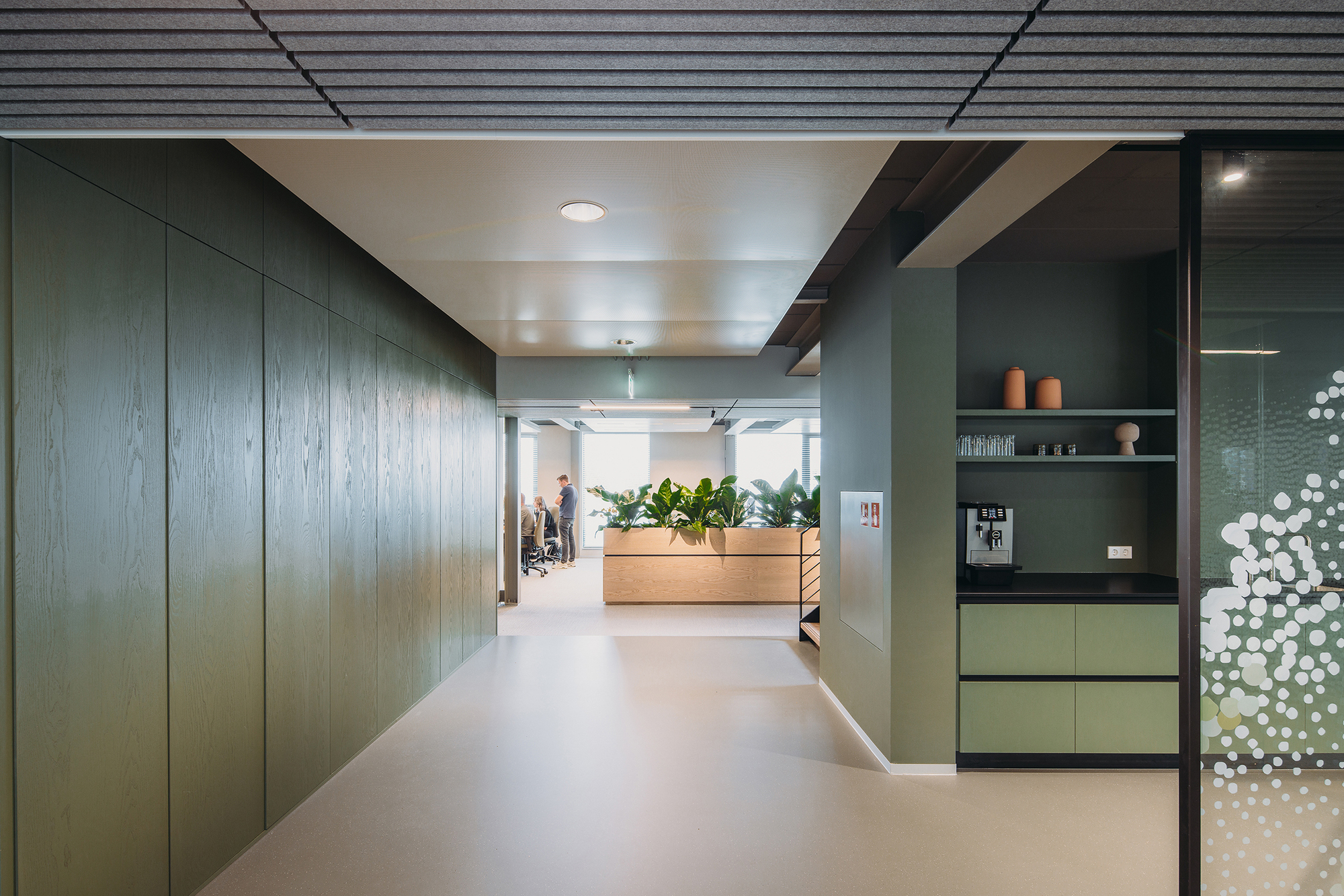 Corridor lined with vertical timber wall panels leading toward a planted timber box under white ceiling coffers