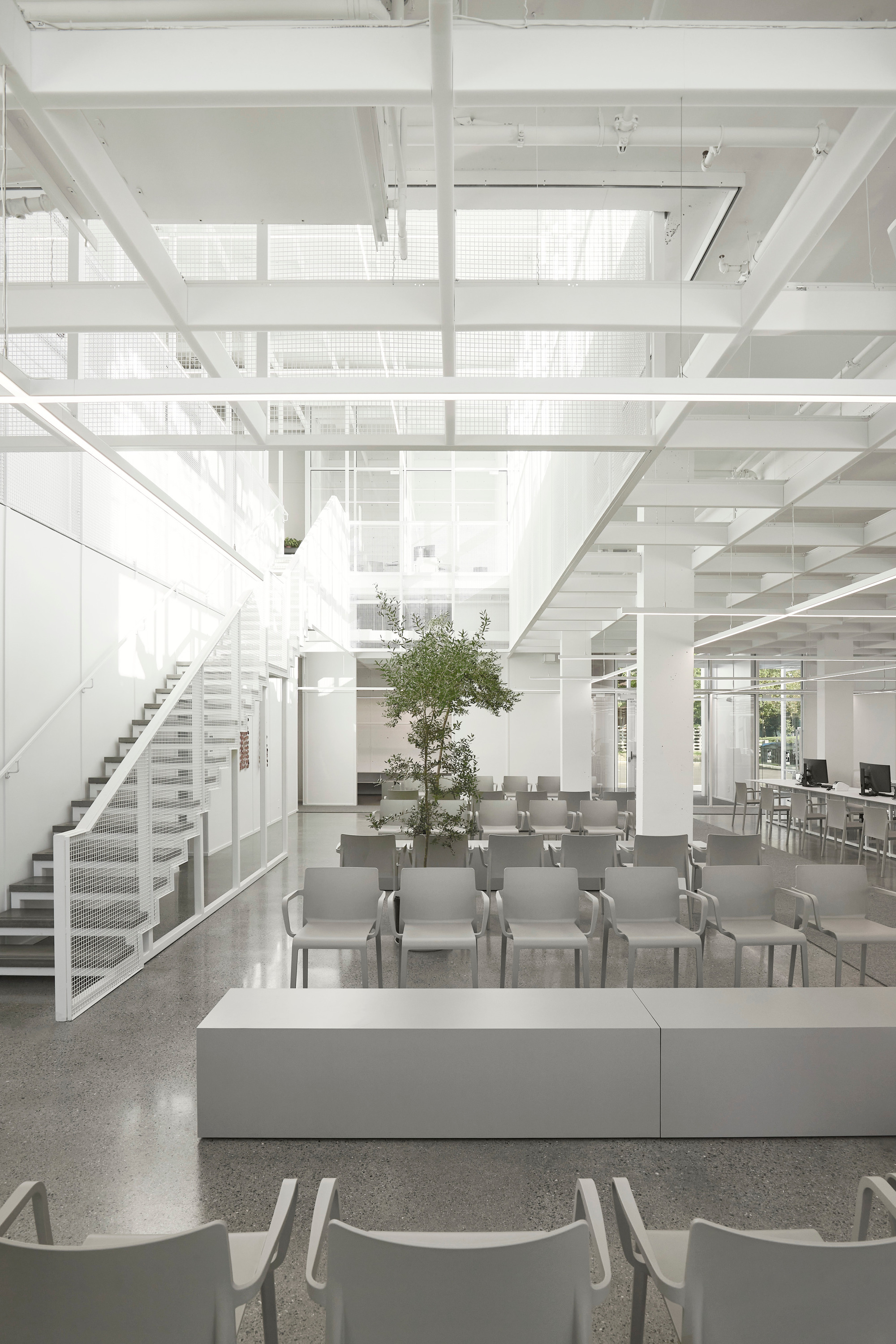 Double-height interior with white steel structure, open staircase, and rows of seating around a potted tree