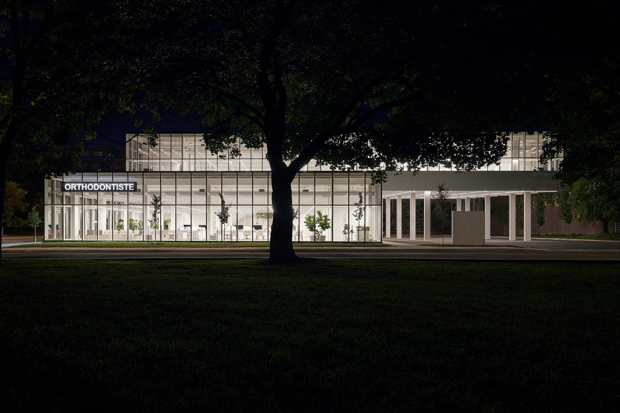 Street-facing elevation of the illuminated glass facade framed by mature trees at night